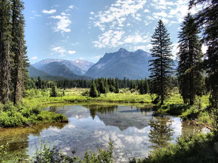 Kootenai National Forest