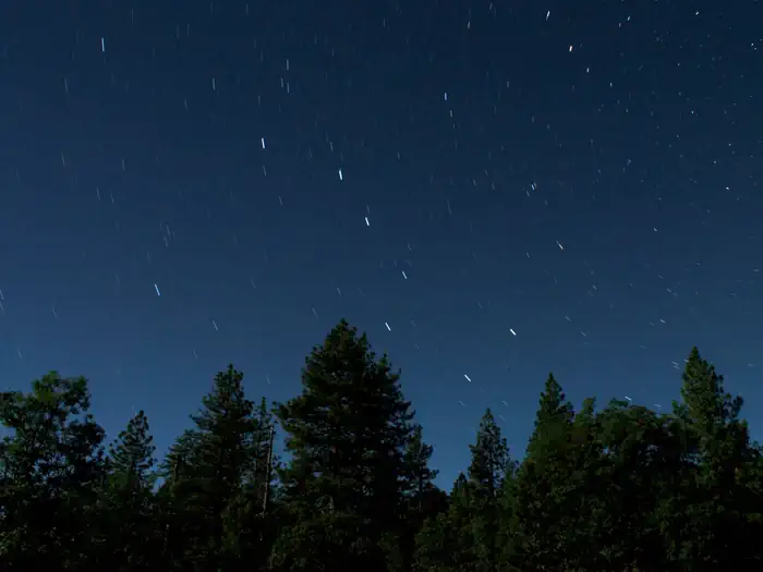 Mendocino National Forest