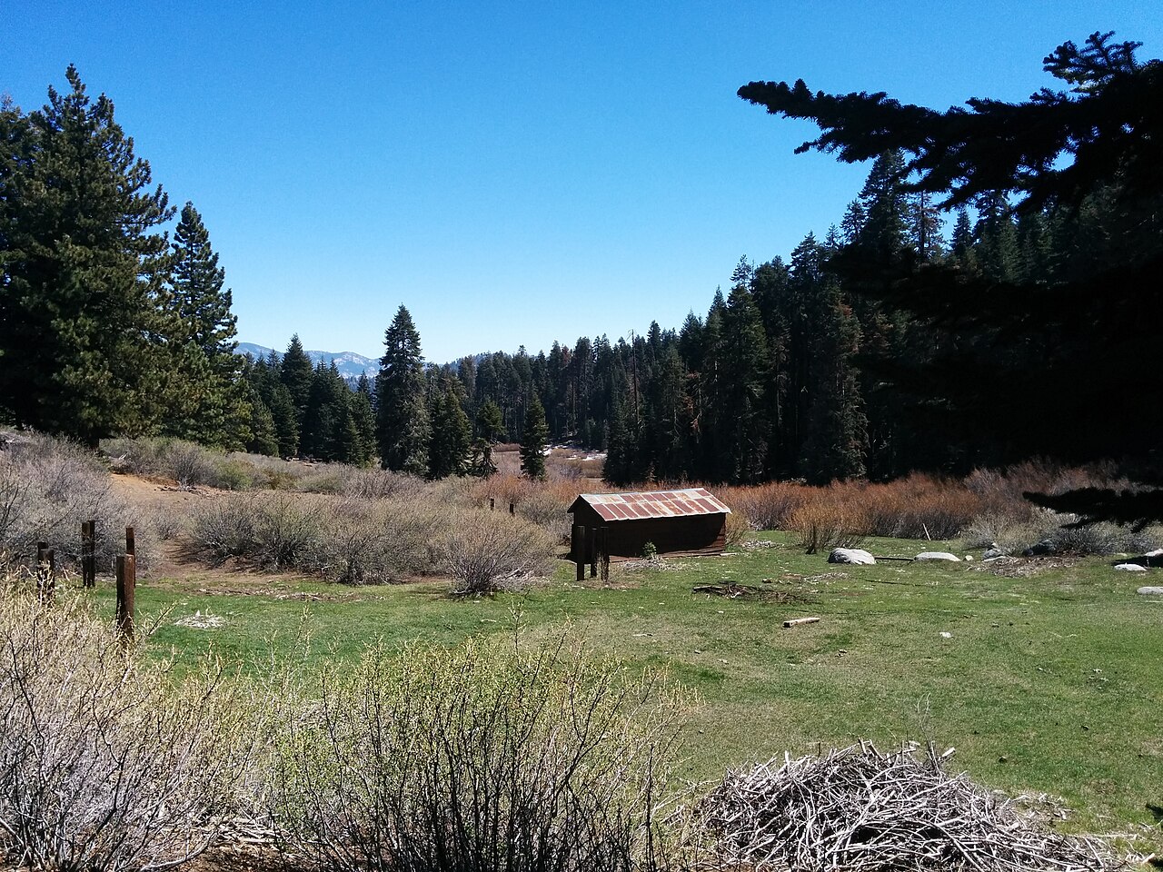 Looking East from just below the campground shelter.
