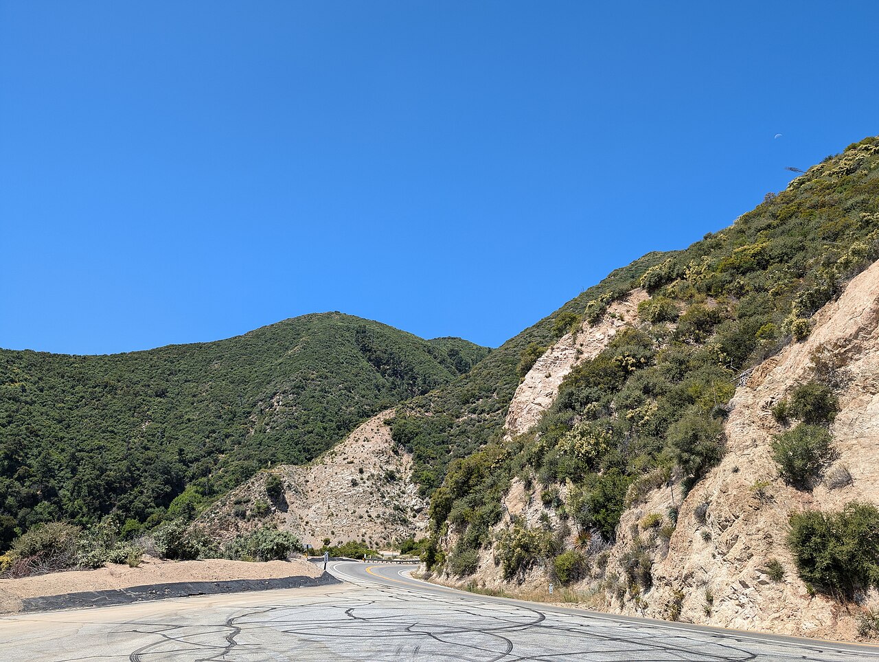 Escape the city in minutes!   The Angeles National Forest, right in LA's backyard, offers endless adventure.  With over 650,000 acres of mountains, meadows, and forests, it's perfect for hiking, camping, or just enjoying nature.  Explore waterfalls, sceni