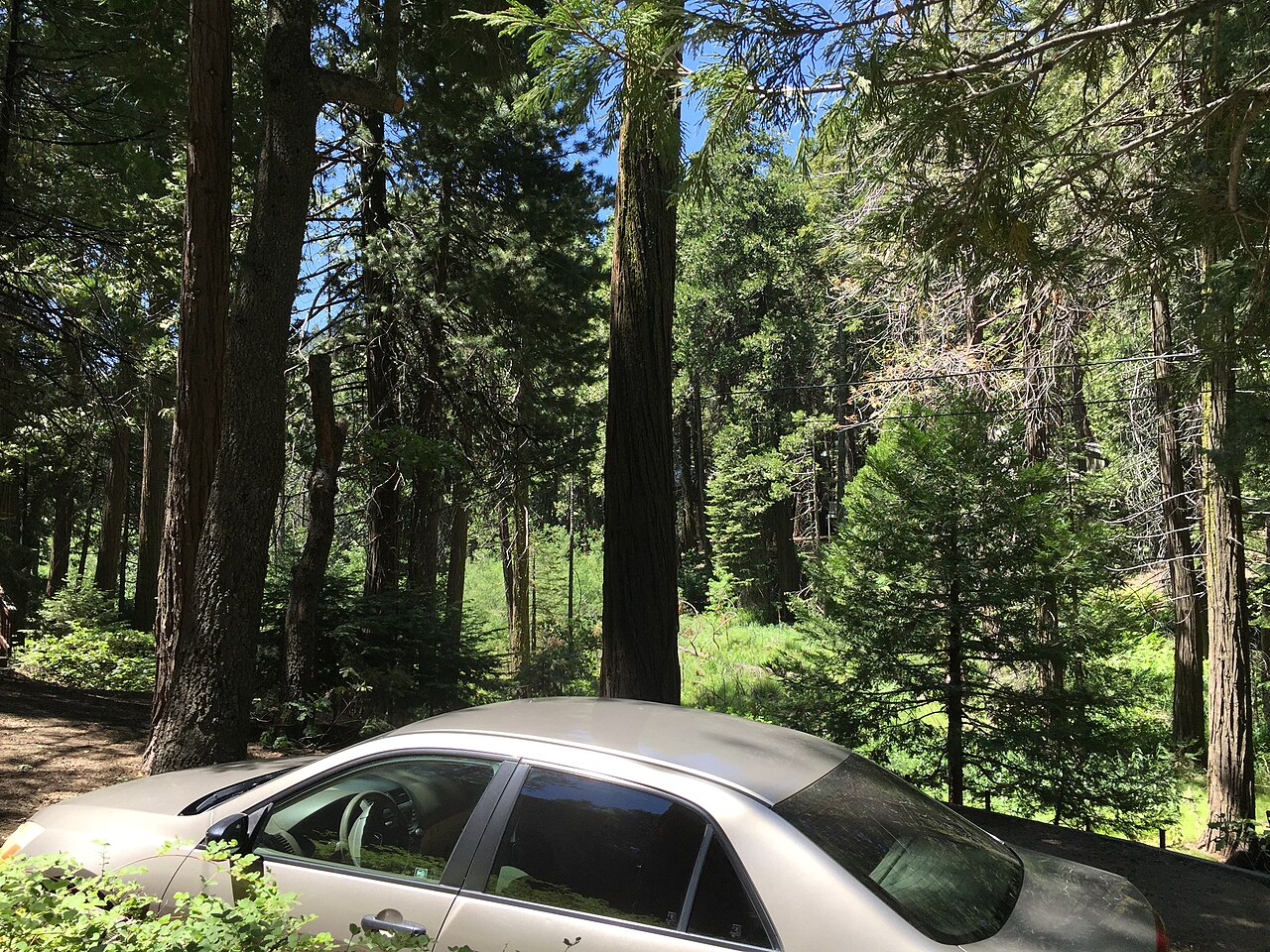 View from Dr Smith's cabin porch