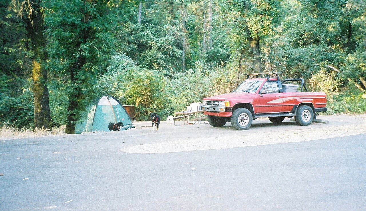 Bailey Cove Campground near Lake Shasta within the Shasta-Trinity National Forest, California.