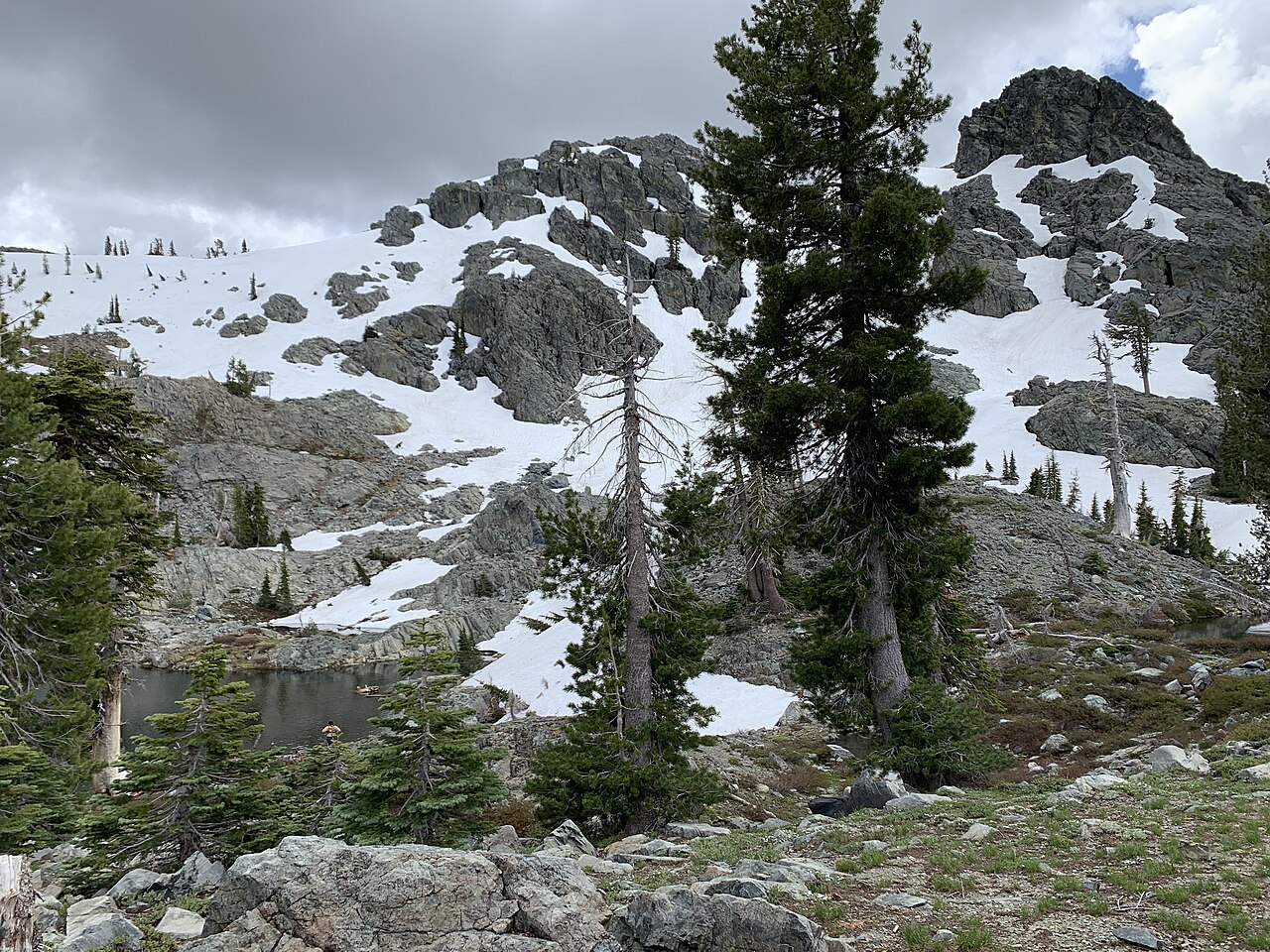 Black Buttes, 8028-feet, is a peak that can be climbed in a short day via Grouse Ridge Trail near the Emigrant Wilderness on the USDA Forest Service, Tahoe National Forest, California. The trail drops into a canyon and then descends on top of Sand Hill Ri