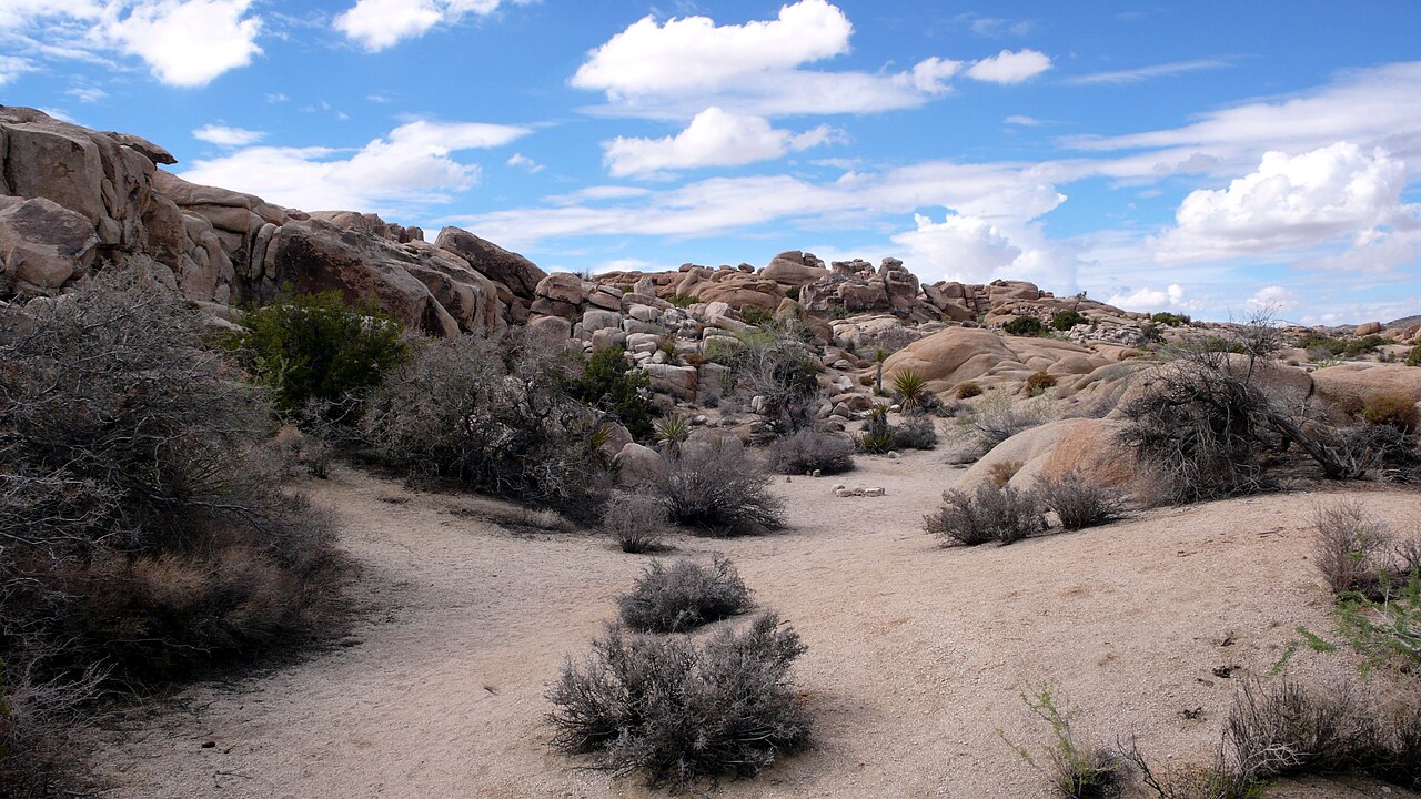 Jumbo Rocks Campground