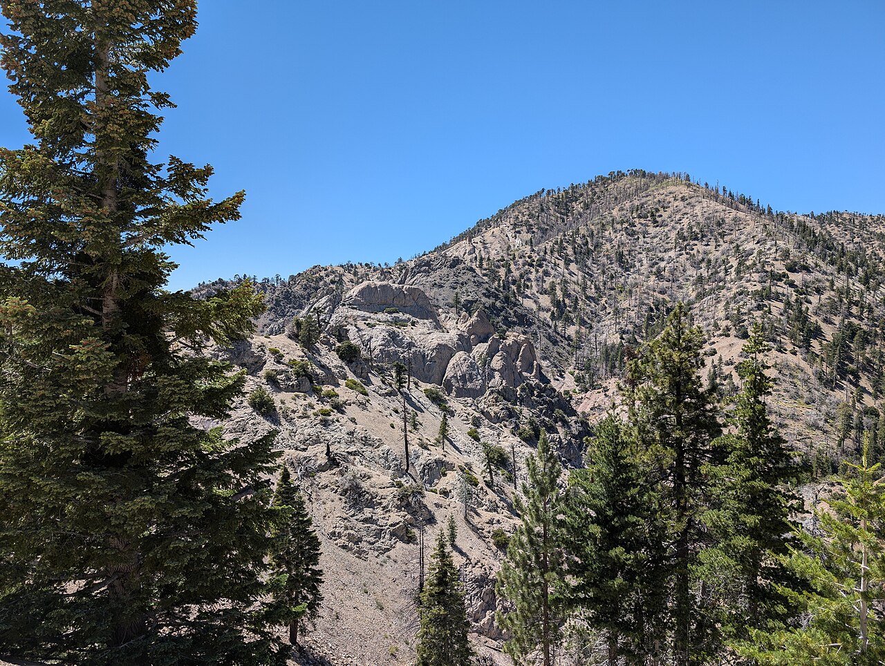 Escape the city in minutes!   The Angeles National Forest, right in LA's backyard, offers endless adventure.  With over 650,000 acres of mountains, meadows, and forests, it's perfect for hiking, camping, or just enjoying nature.  Explore waterfalls, sceni
