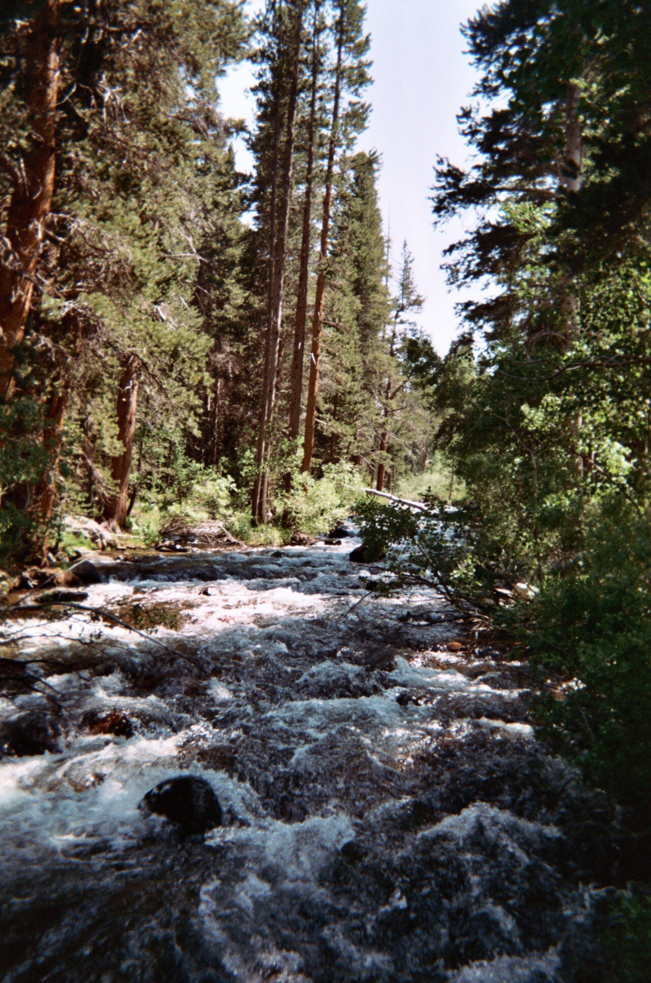 Rock Creek at East Fork Campground.