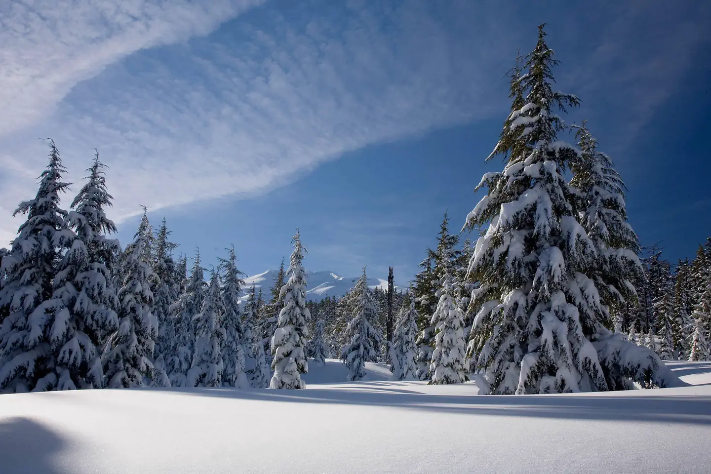 Deschutes National Forest