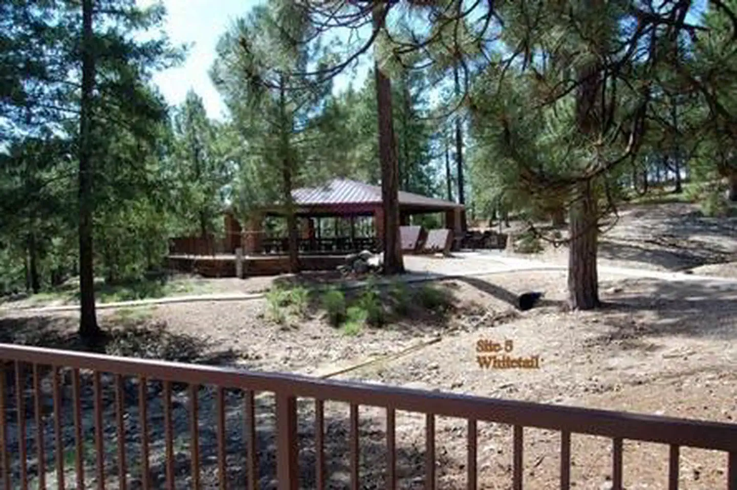 WHITETAIL CAMPGROUND