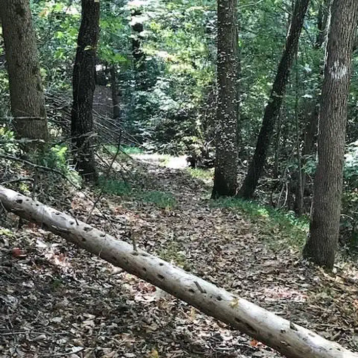 Hoosier National Forest Trail