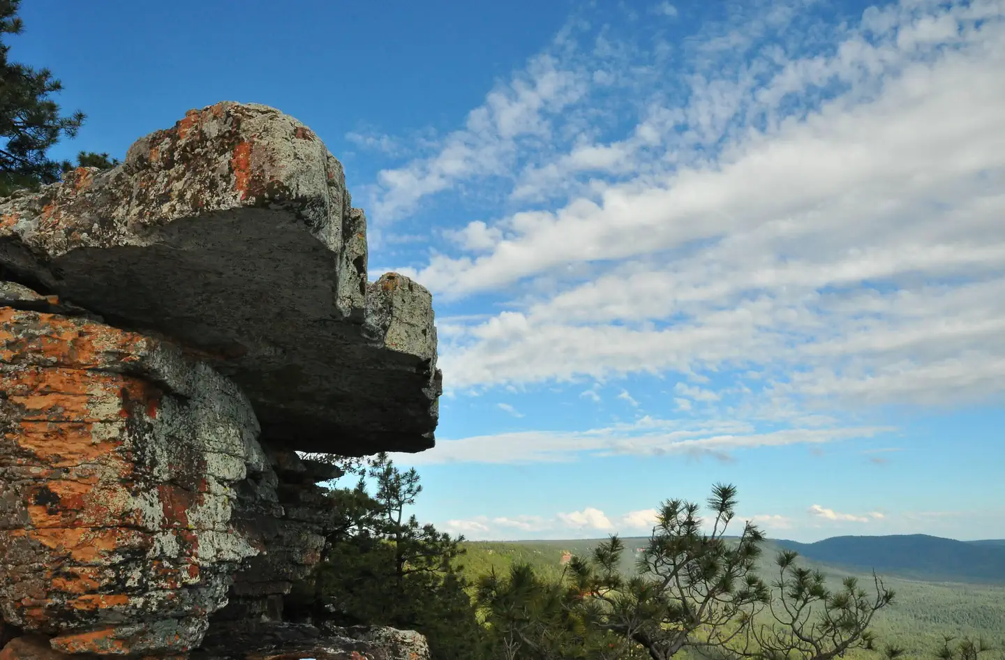 view from the Mogollon Rim
