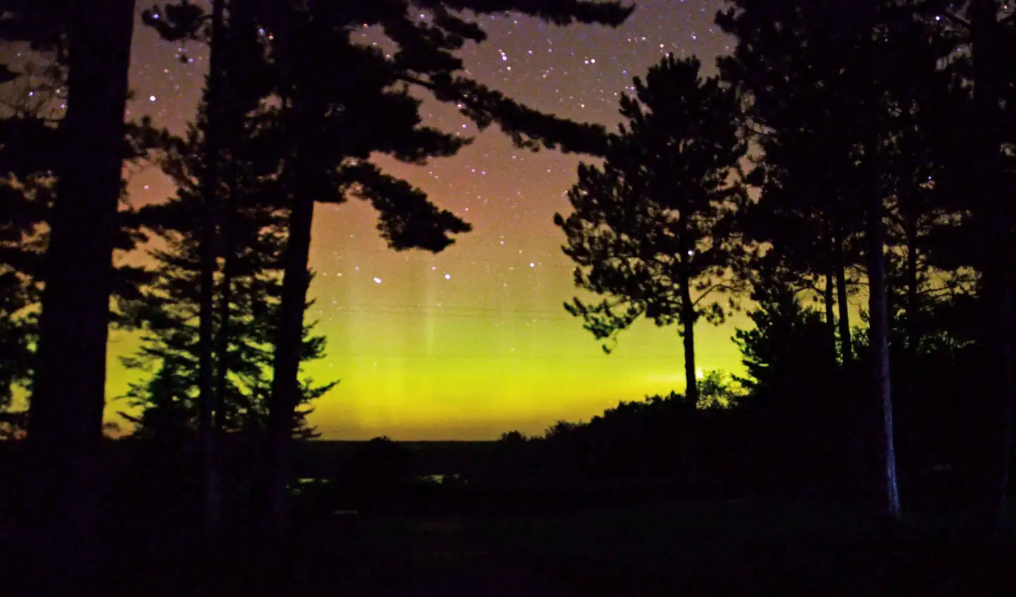 Huron Manistee National Forest