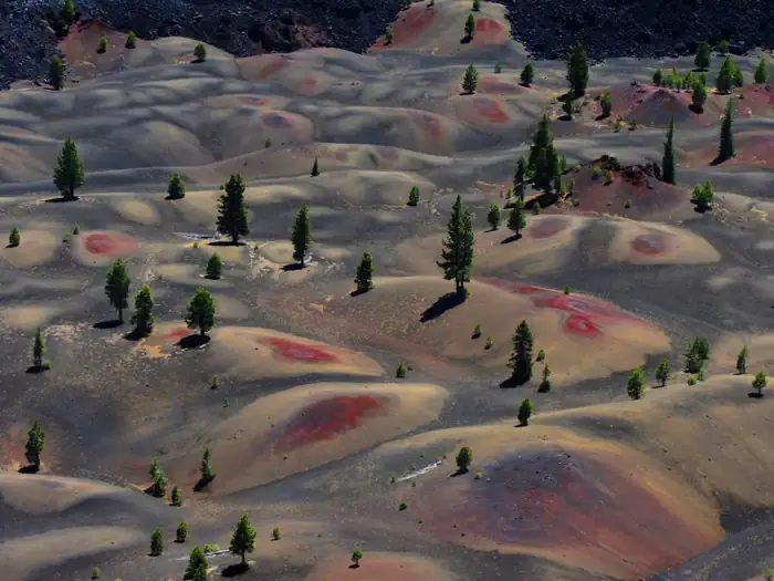 Lassen National Forest