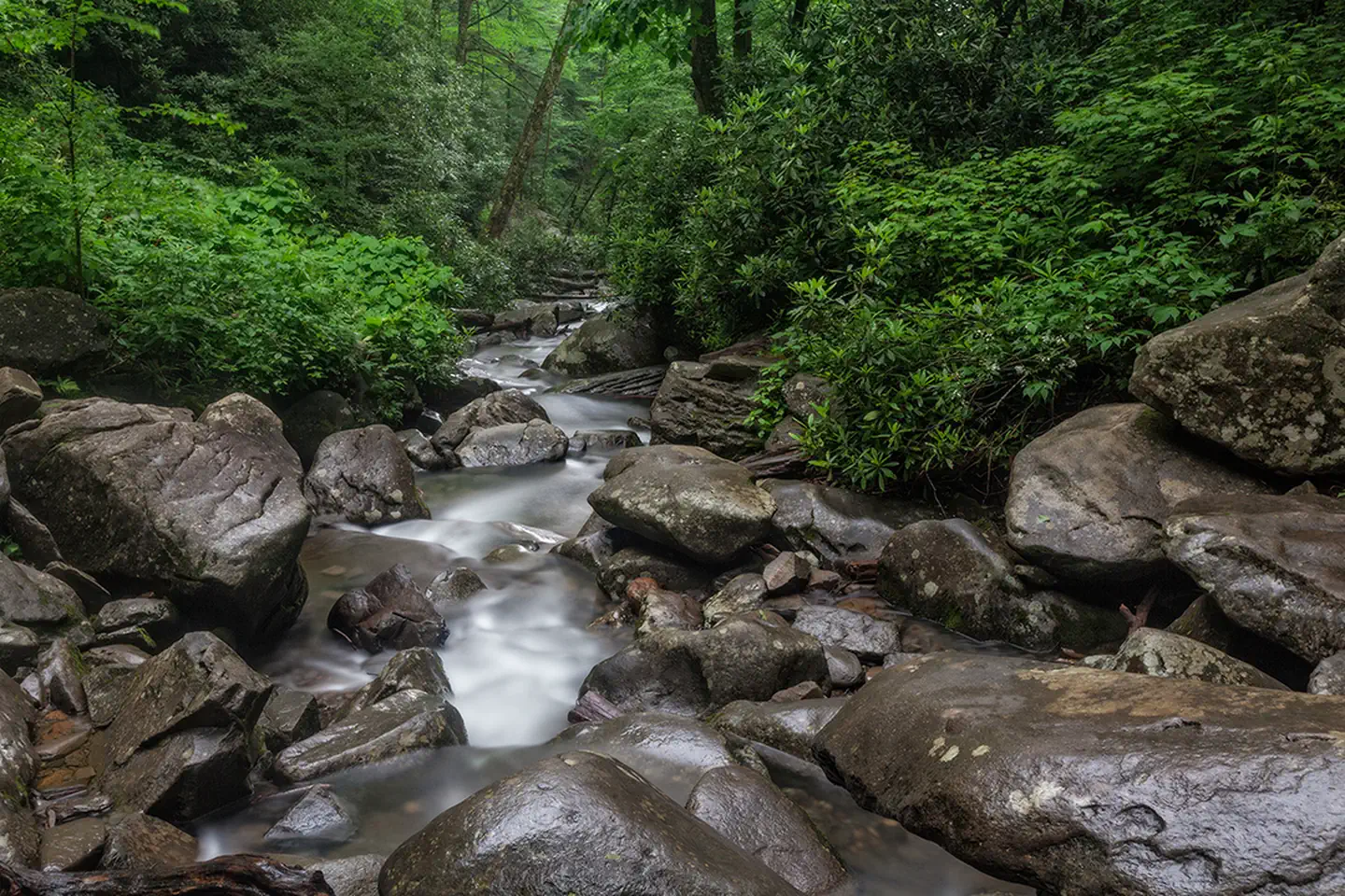 Camping scenery for North Carolina
