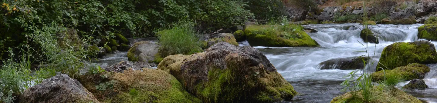 Nez Perce-Clearwater National Forests