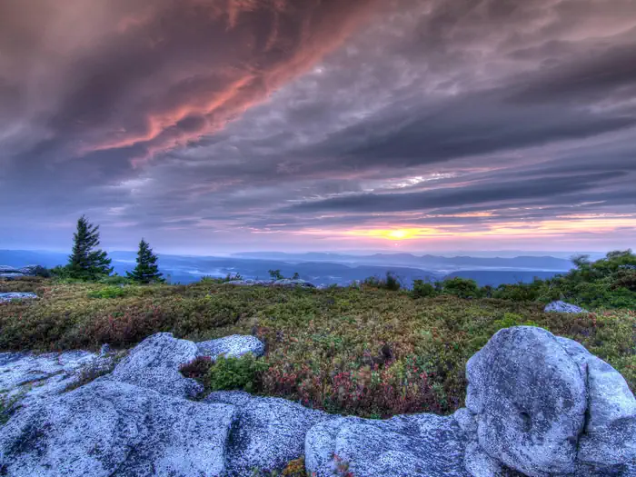 Monongahela National Forest