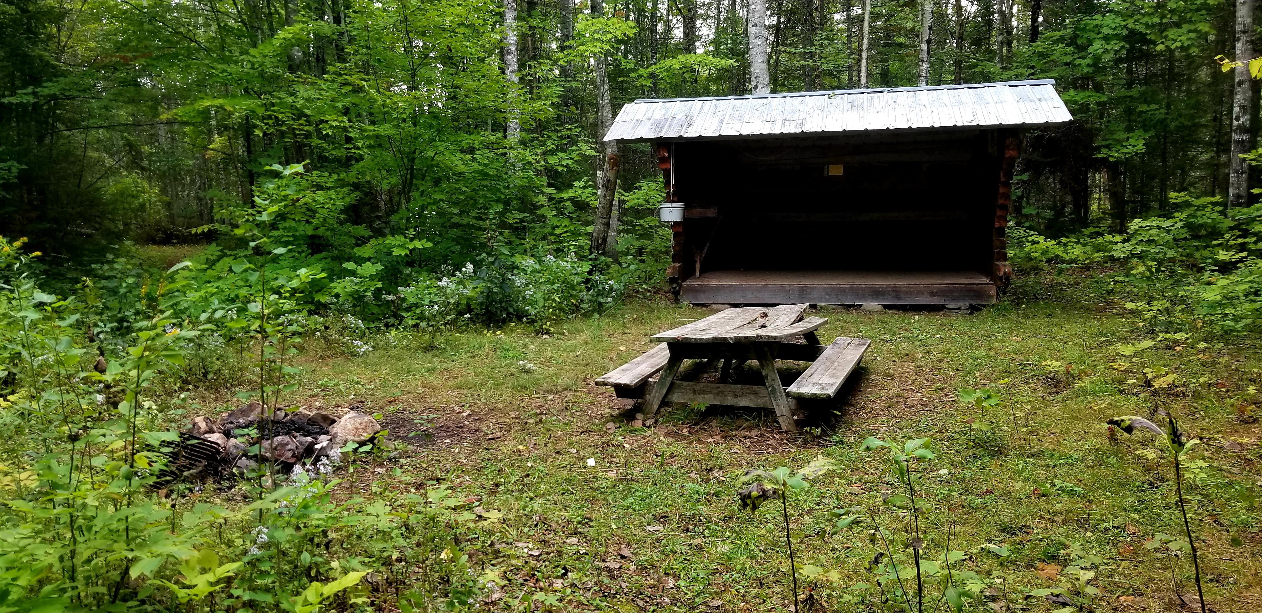 Fire pit and picnic table with lean-to in background. All surrounded by forest and vegetation.