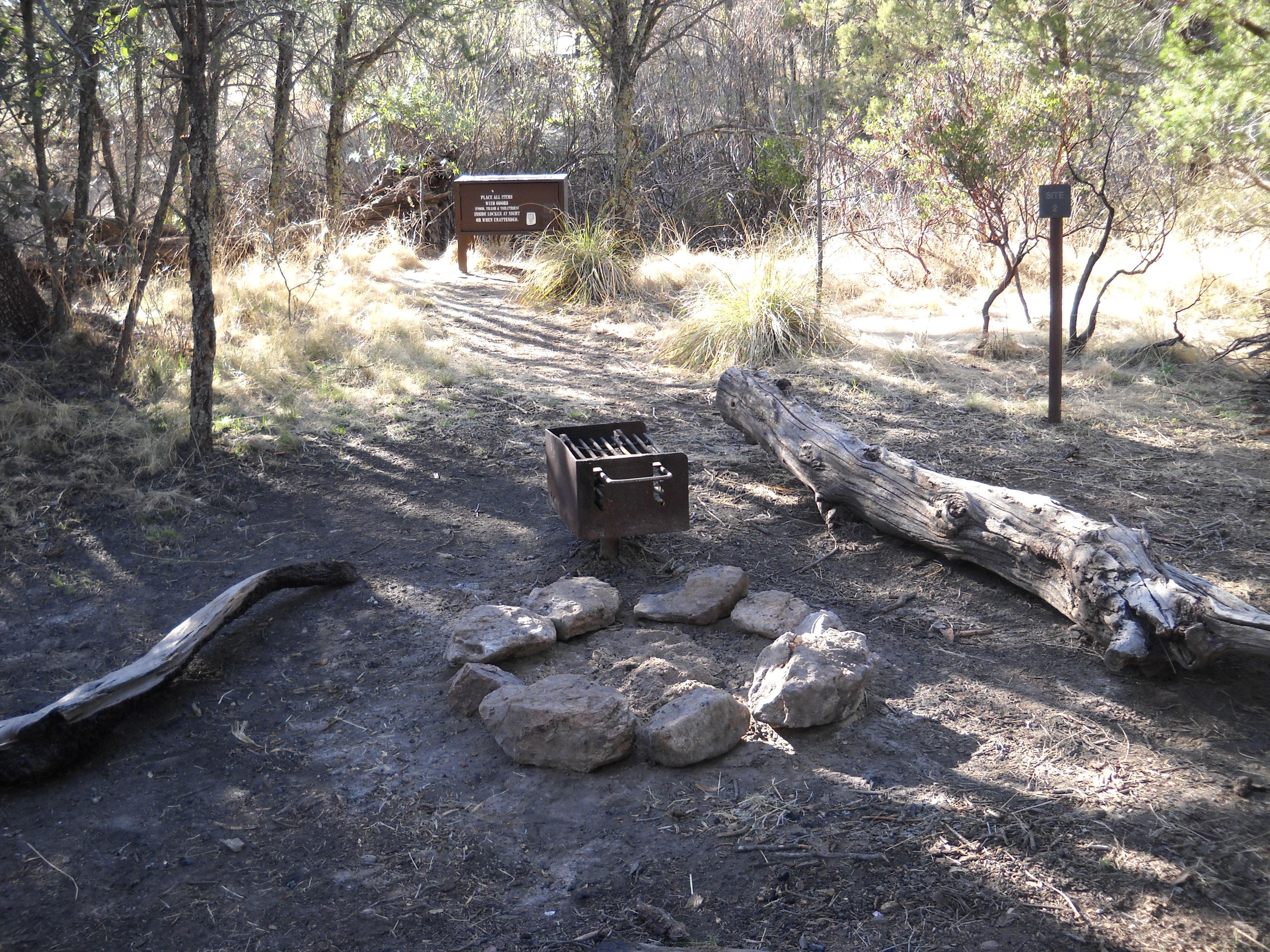 A rock lined fire ring, with two sitting logs on either side. Thin trees abound in the area.