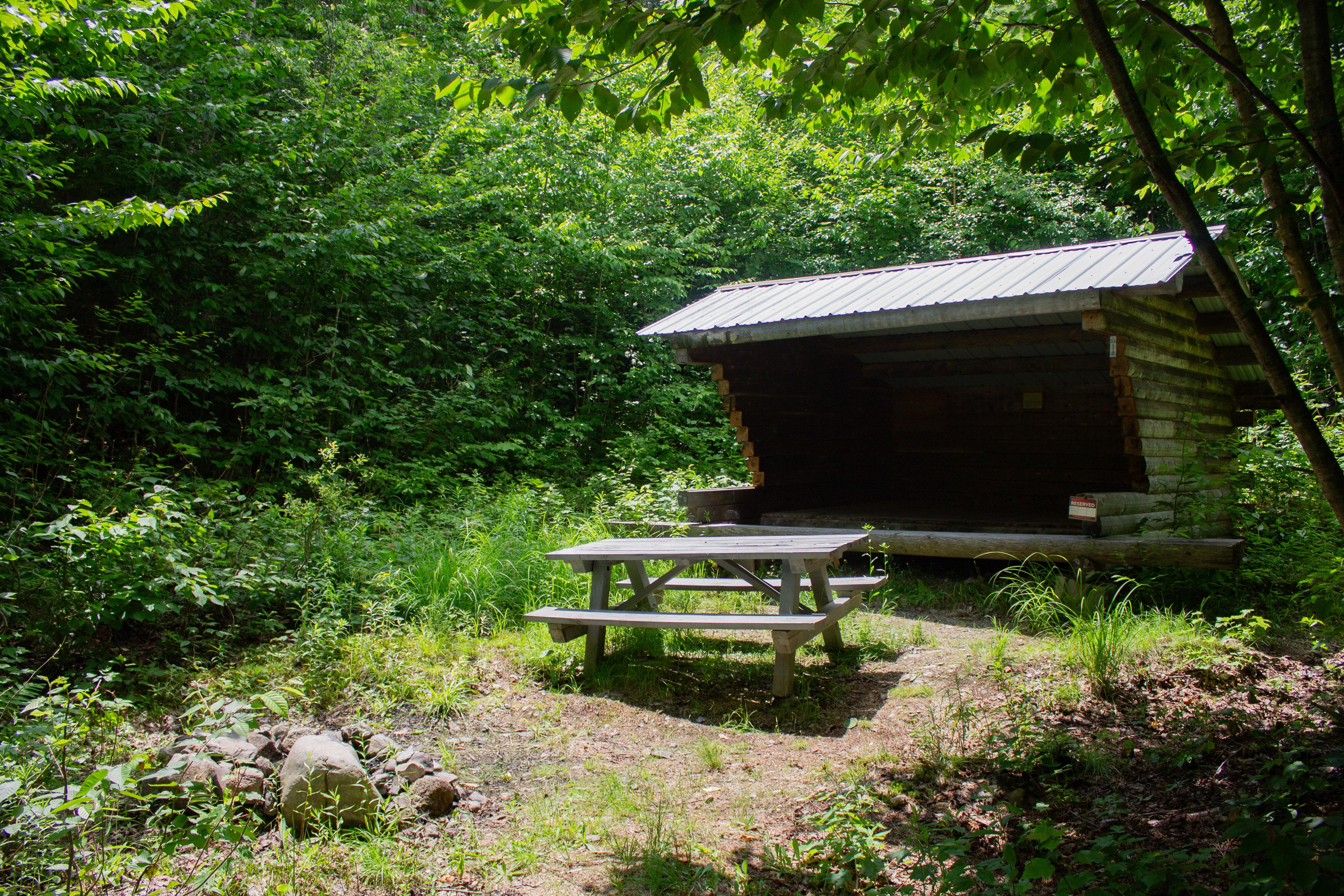A roofed, three-sided wooden structure in the woods with a picnic table in the foreground