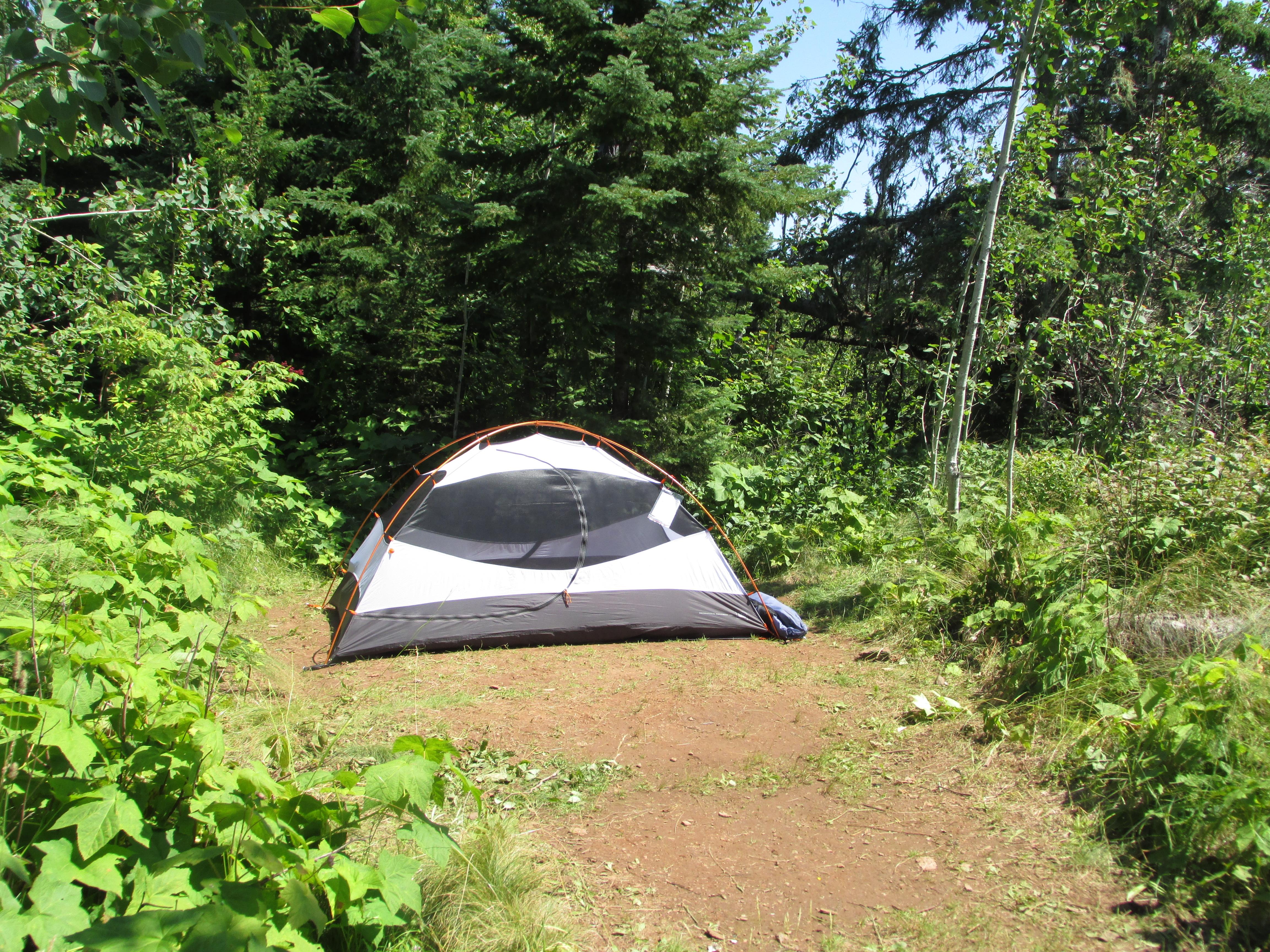 A tent sits on a cleared area surrounded by trees.