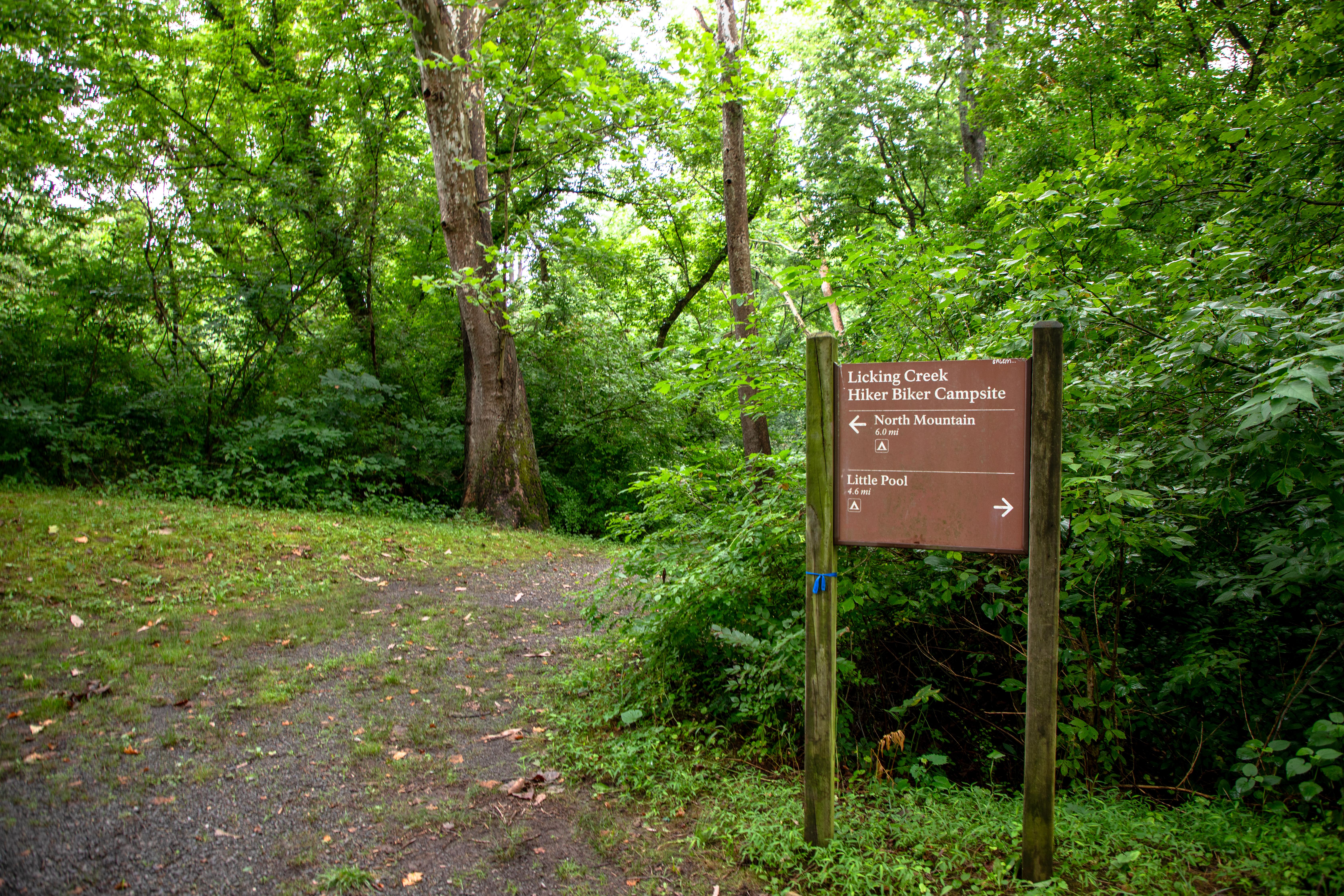 Campsite sign in the woods
