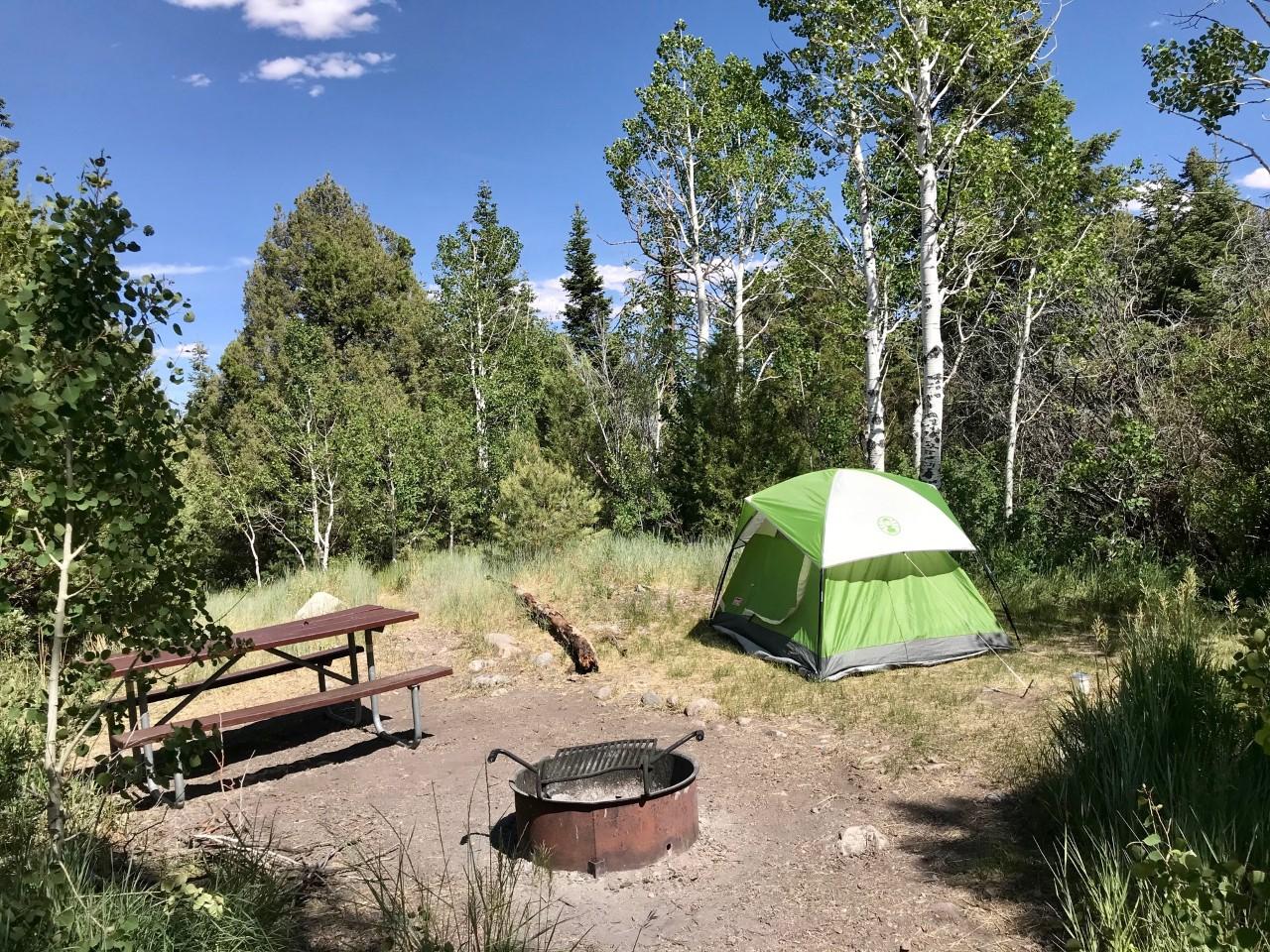 Lower Lehman Creek Campsite. Picnic table, grill, green tent, and blue skies.