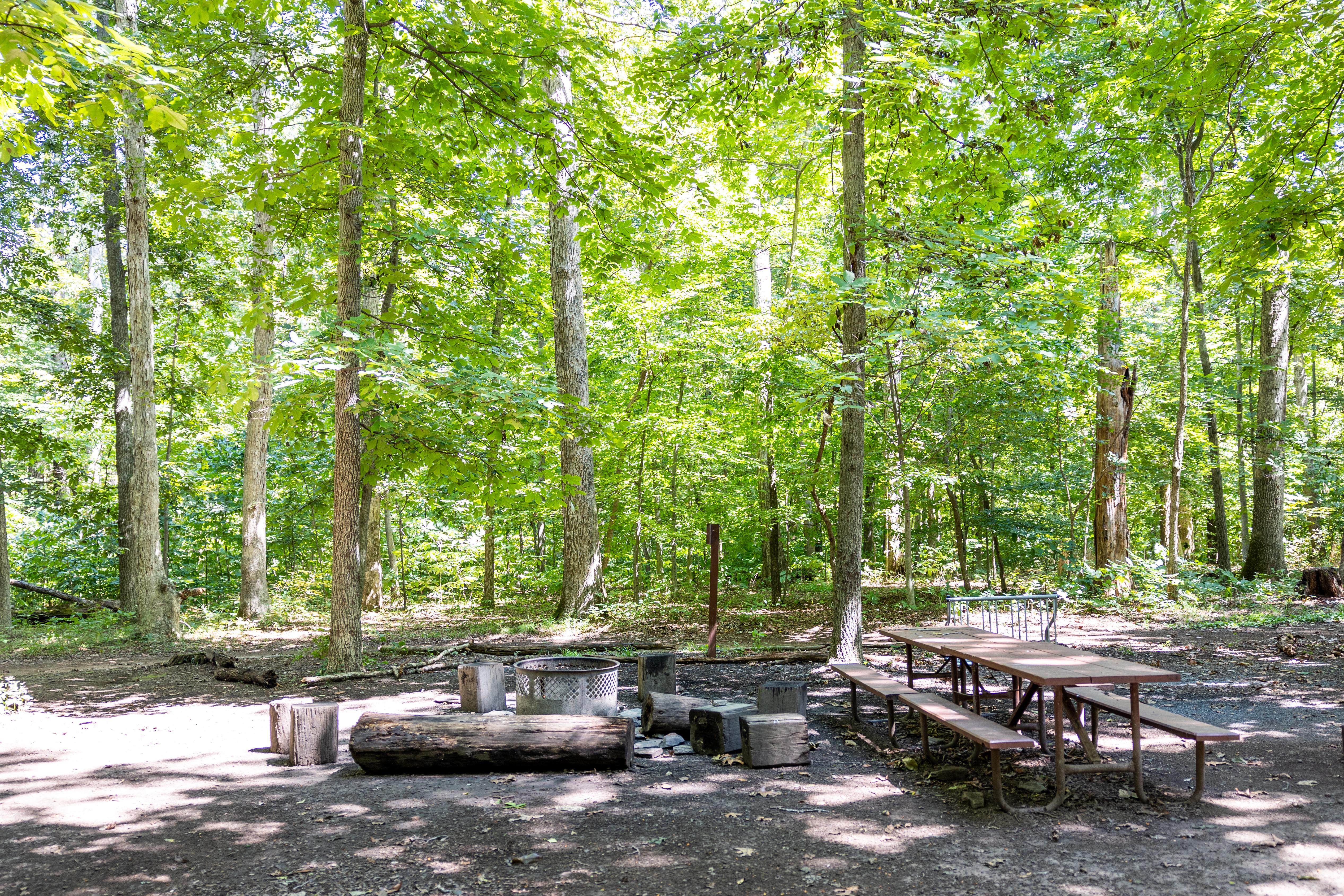 A campground in the woods with a picnic table and fire ring