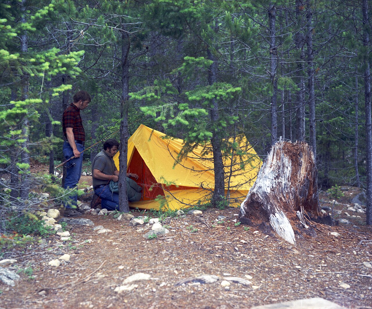 Big Beaver Campground on Ross Lake, Washington, 1972.