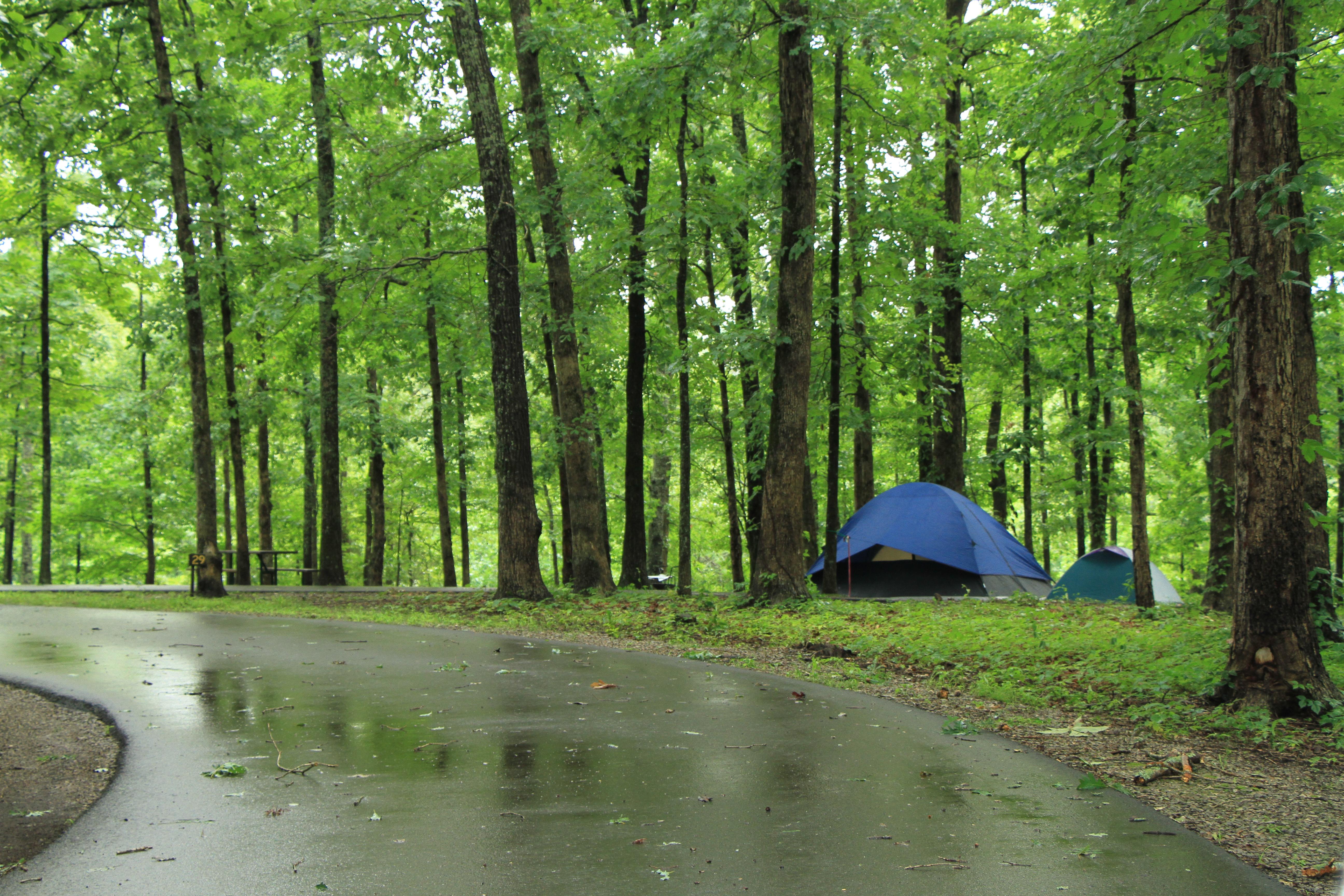 Two blue tents are set up at campsite 29. The site is surrounded by green trees.