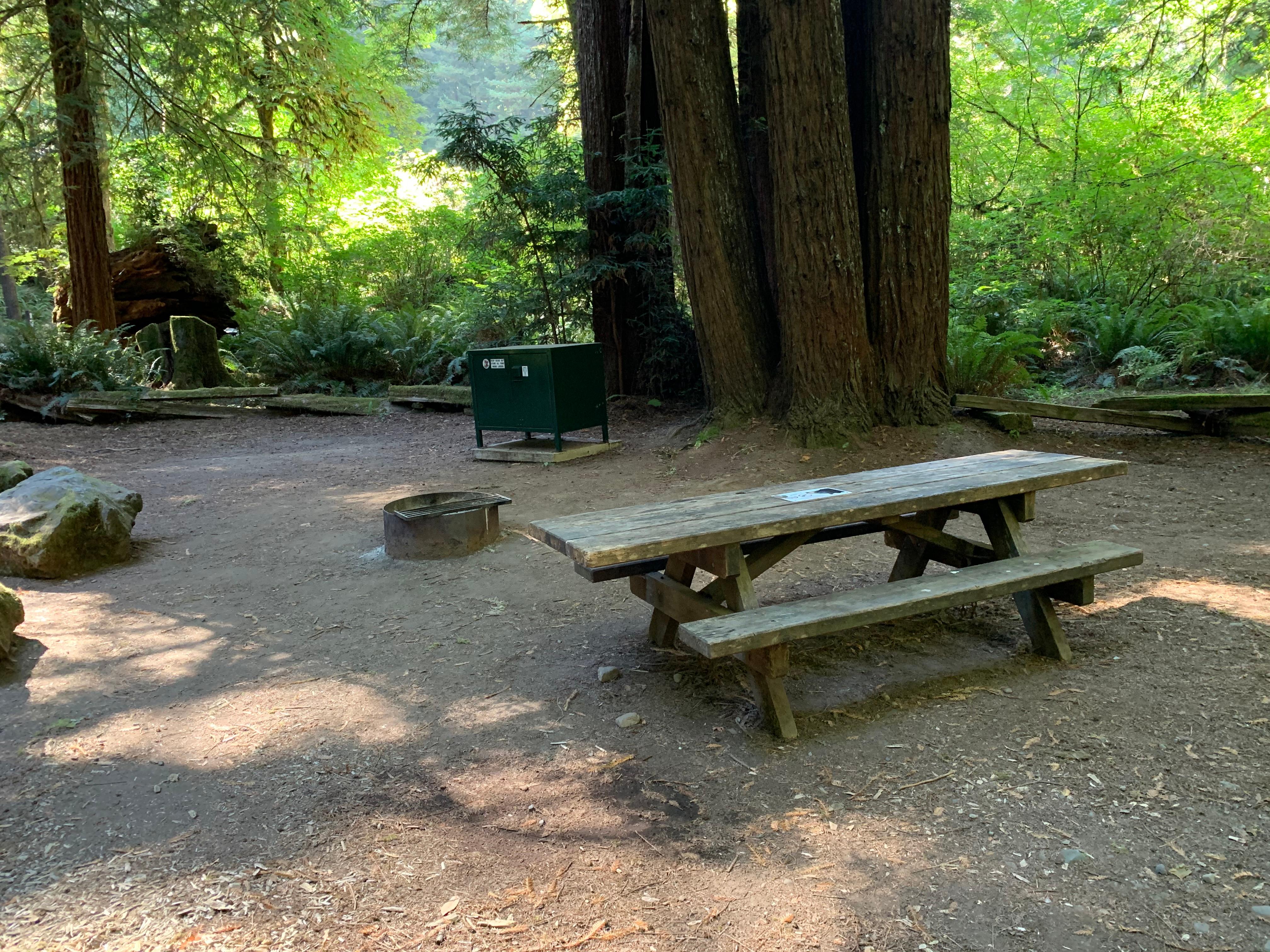 Picnic table, fire ring and food locker