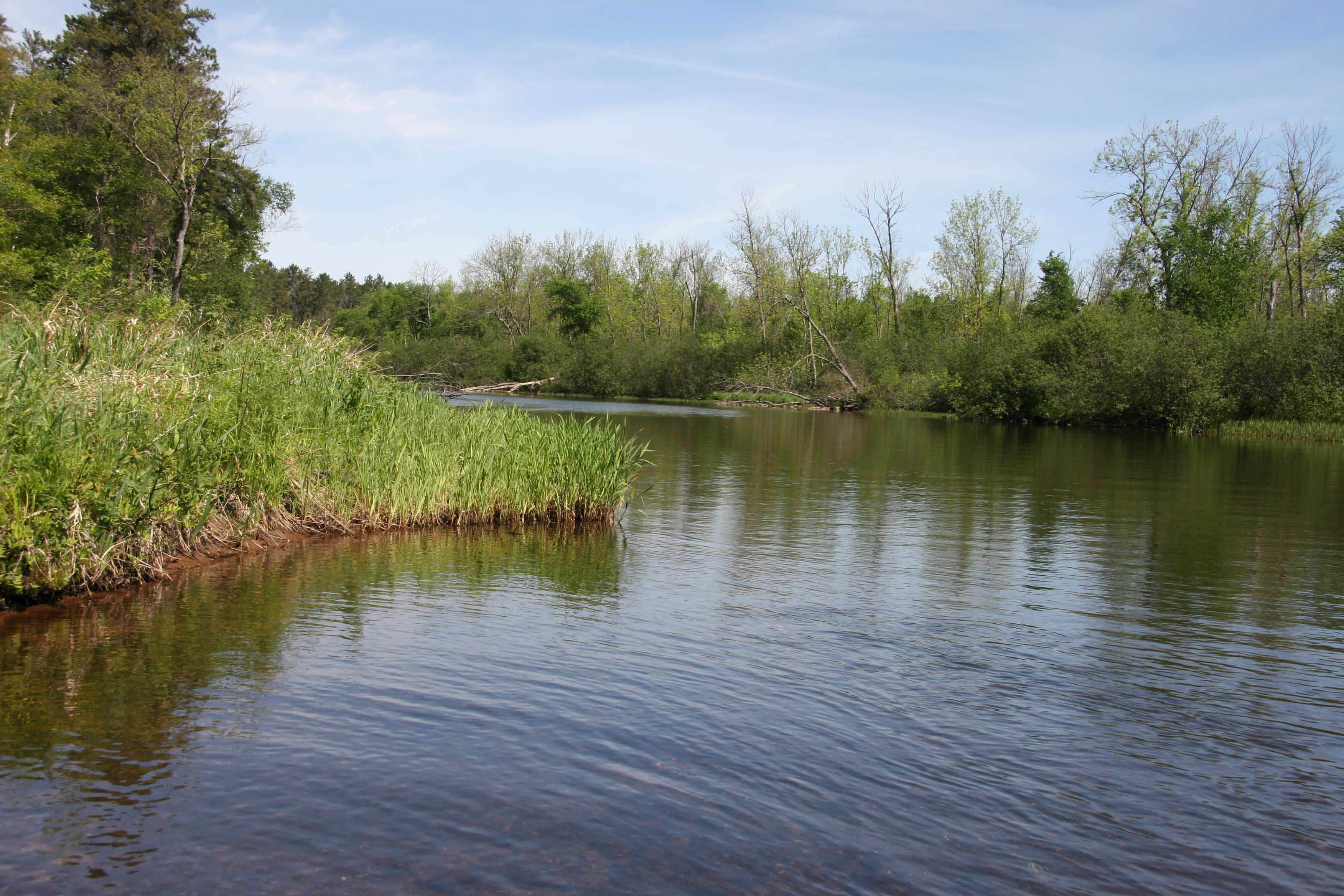 A shallow river winds through a narrow channel of green vegetation.