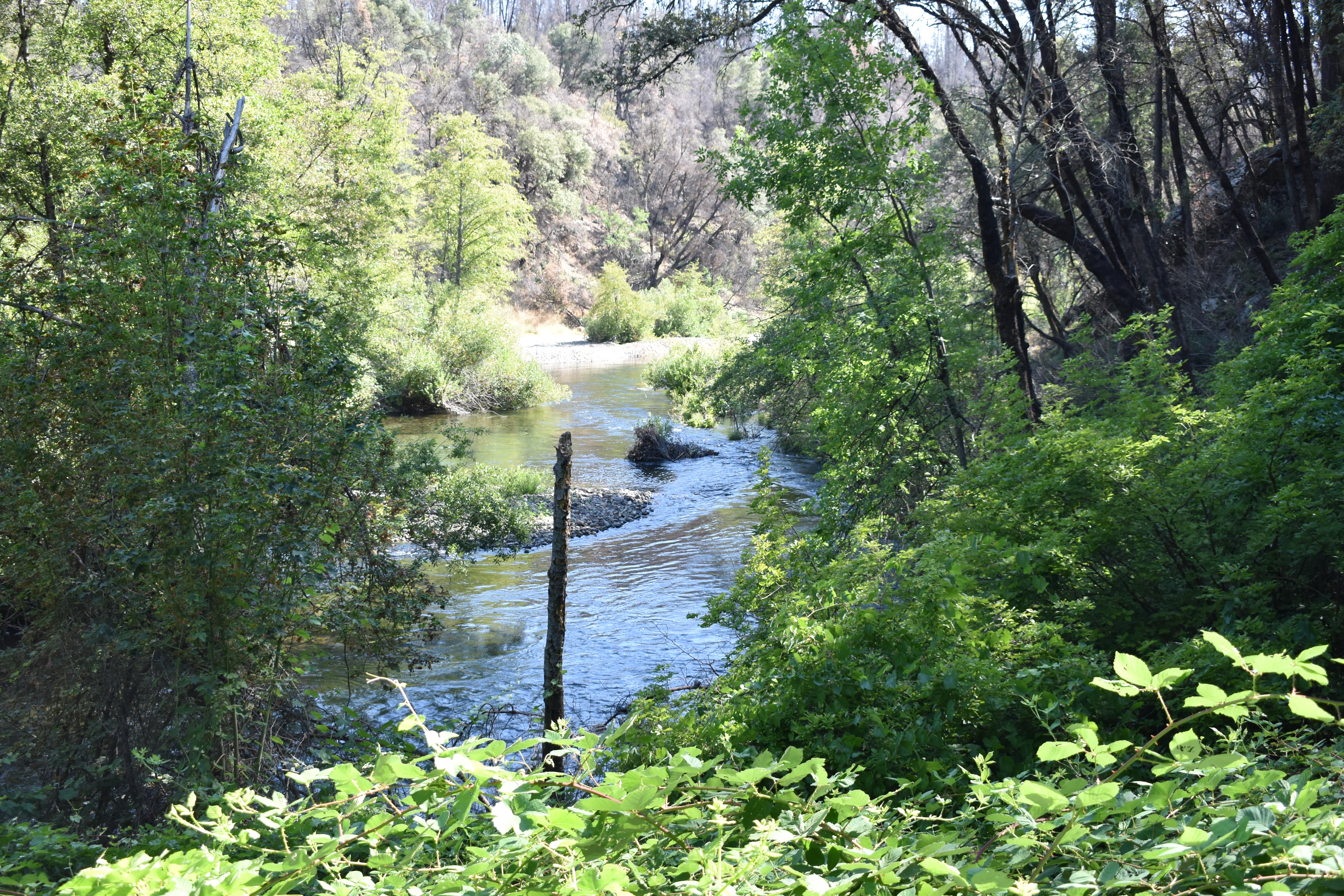 Clear Creek at Peltier Bridge Campground