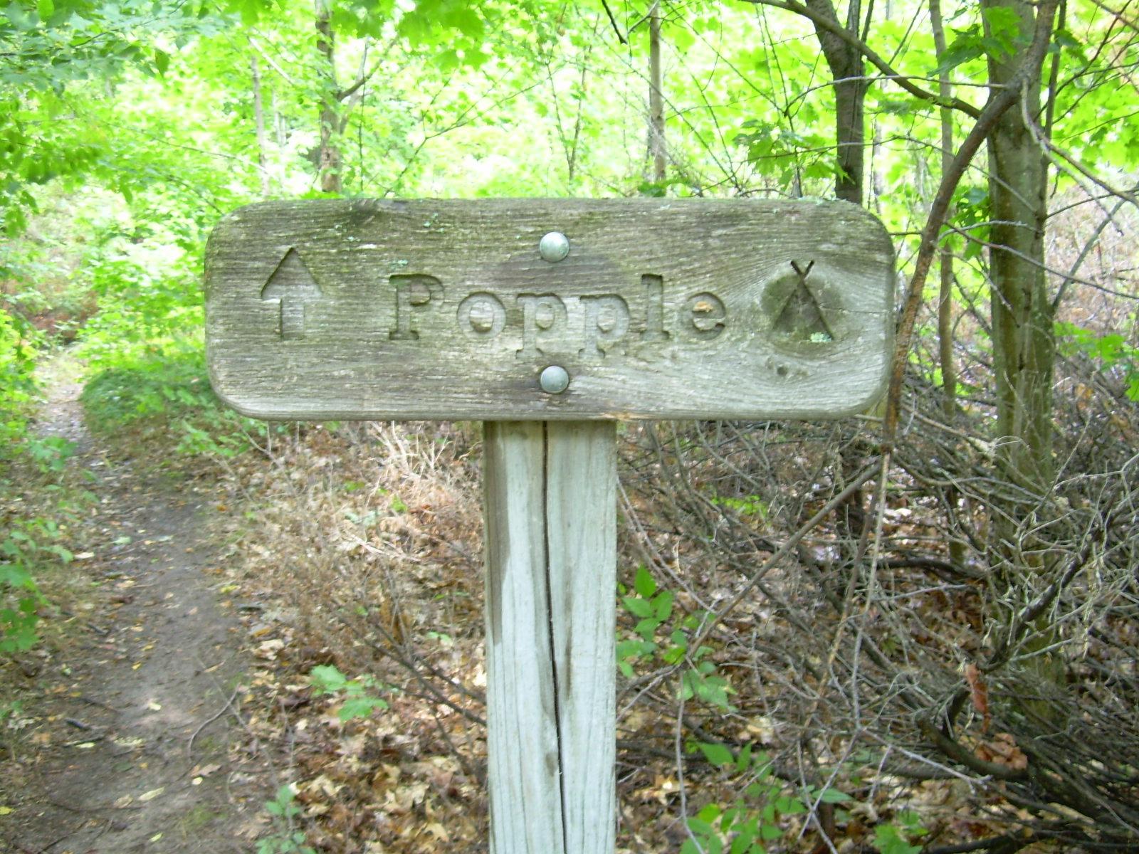 Wood sign that reads "Popple" in front of a trail and forest.