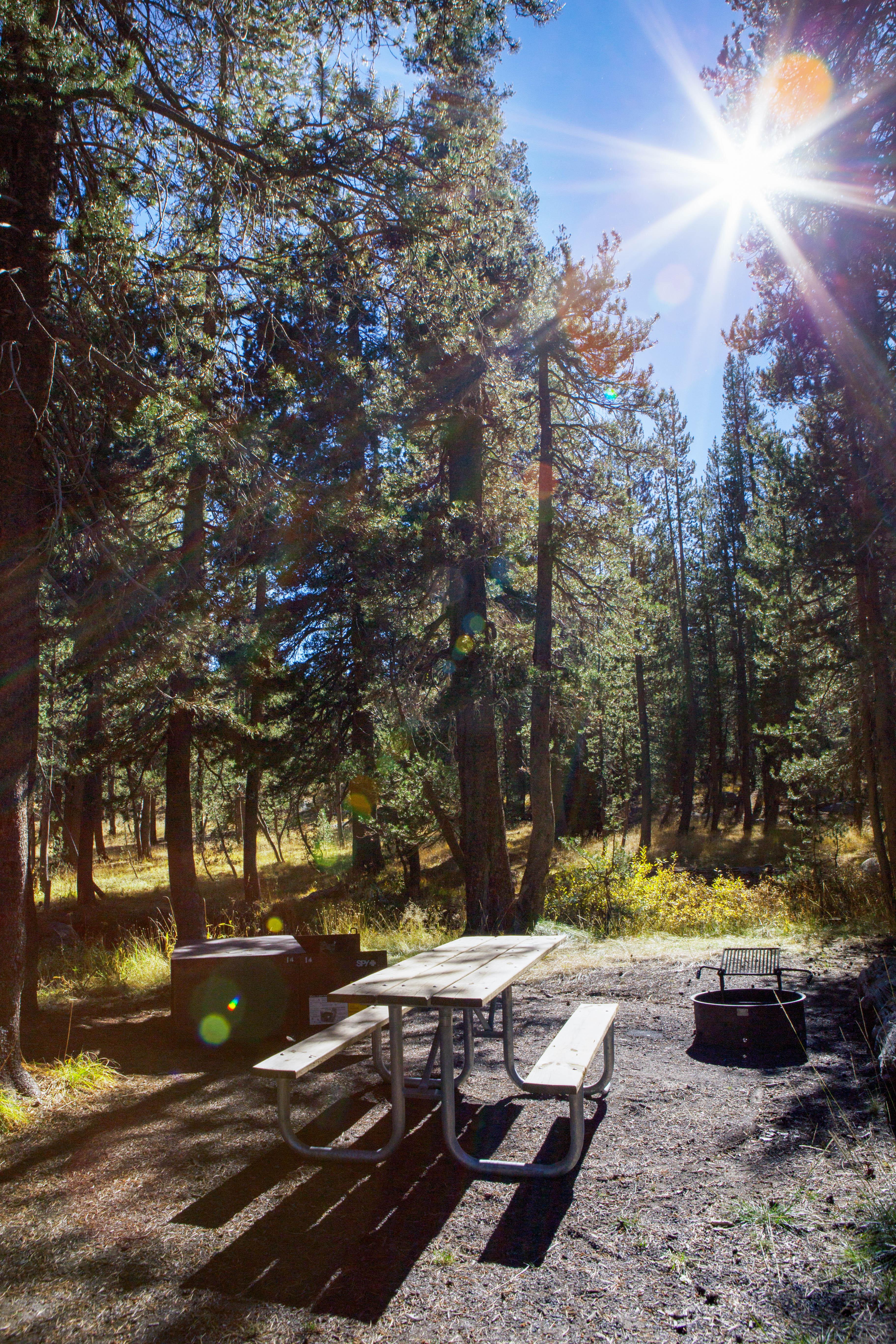 Empty campsite in Porcupine Flat Campground with picnic table, fire ring and sun shining