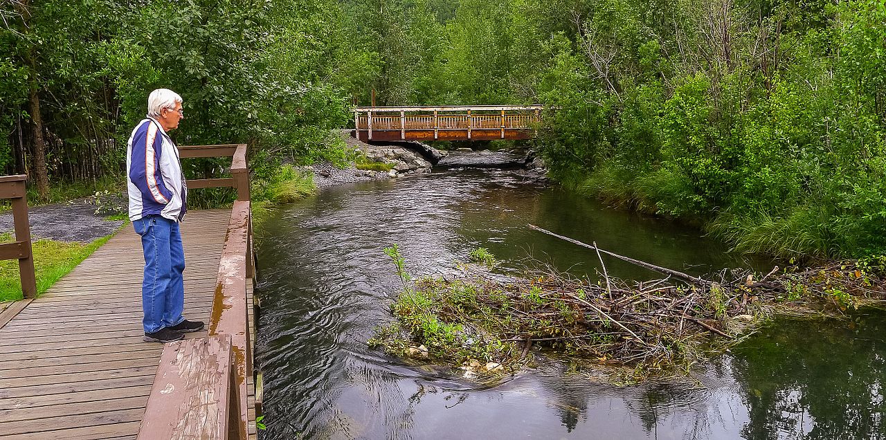 At Tem Lake Picnic Area, Alaska, USA.