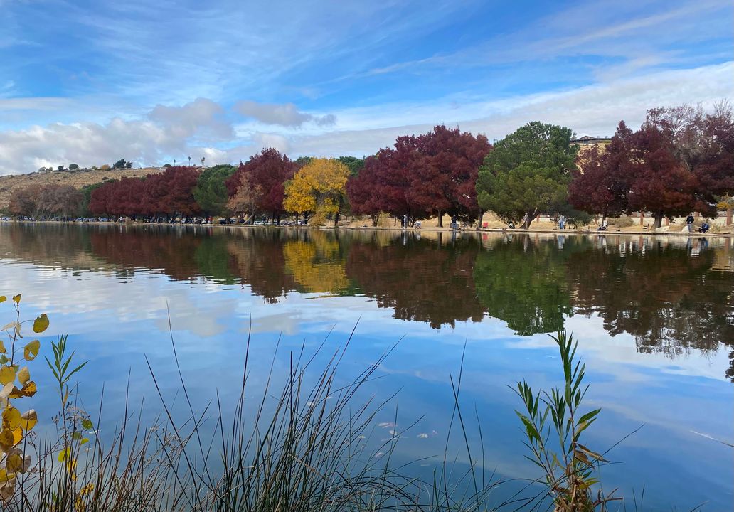 Hesperia lake during fall