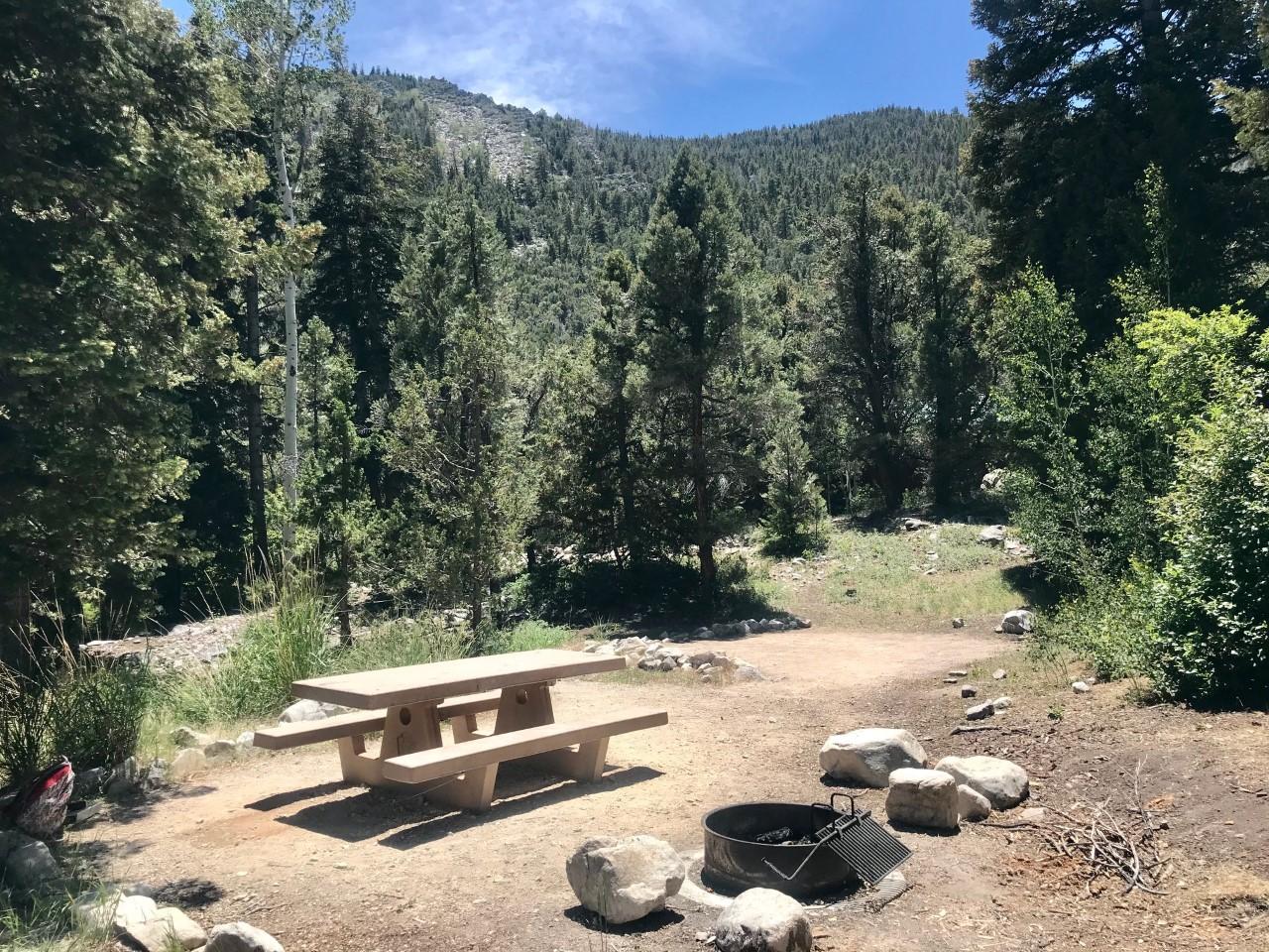 Campgrounds - Great Basin National Park (U.S. National Park Service)