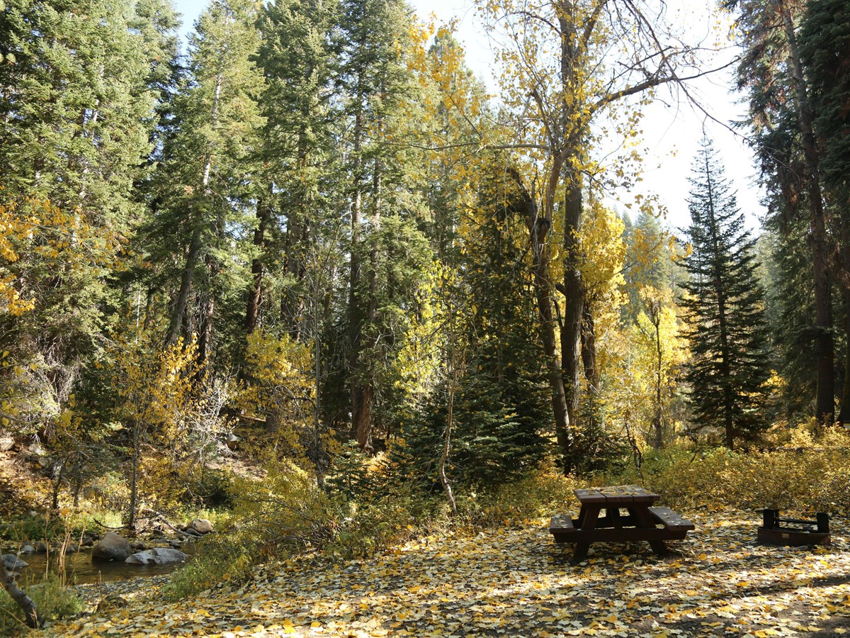 Cold Springs Campground - Sequoia & Kings Canyon National Parks (U.S. National Park Service)