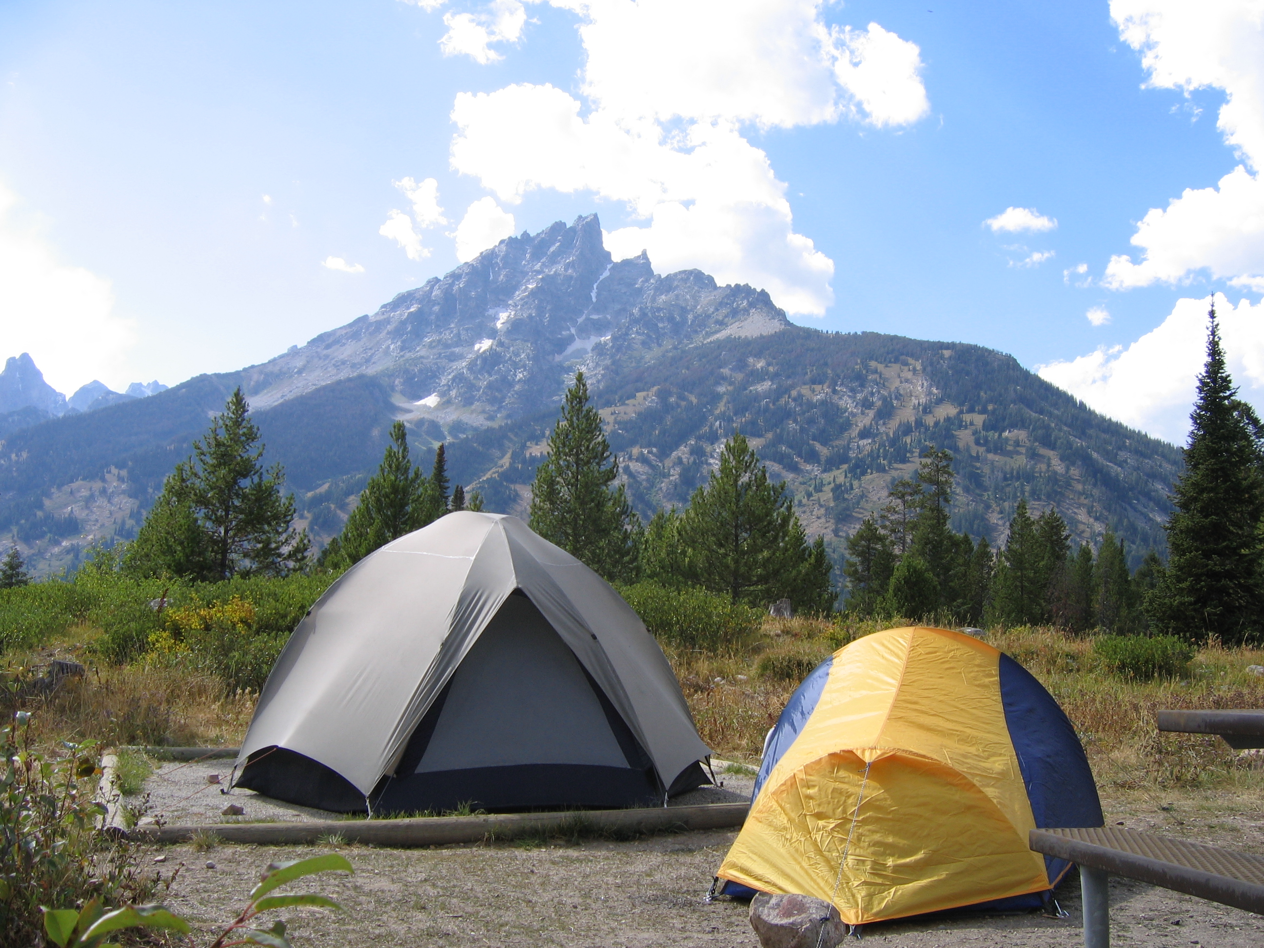 Jenny Lake Campground - Grand Teton National Park (U.S. National Park Service)
