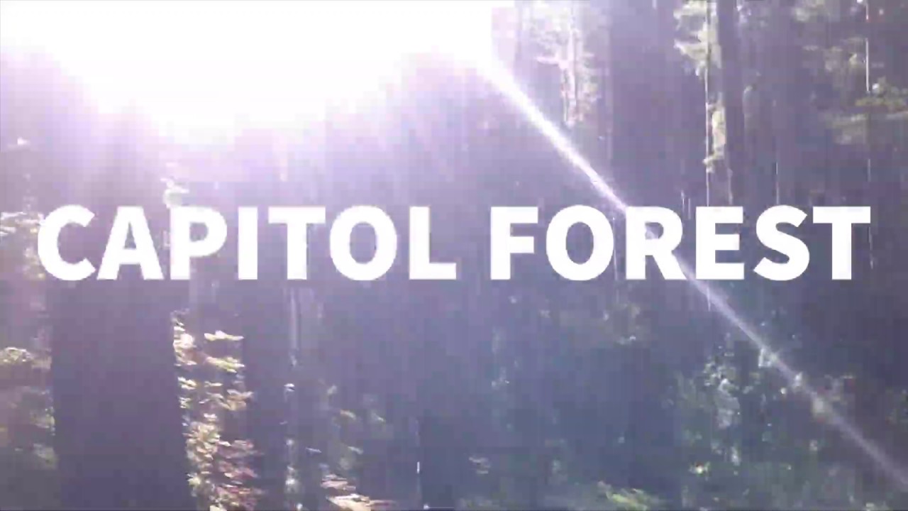 Capitol State Forest | Department of Natural Resources