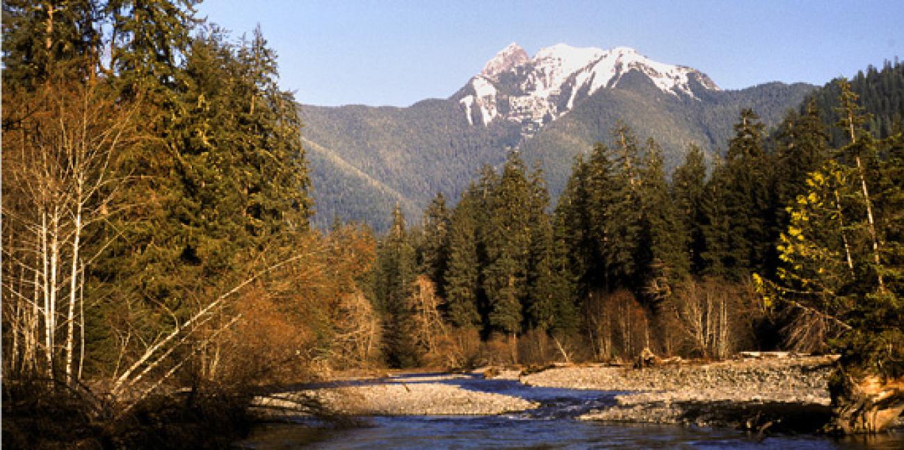 Olympic Peninsula Forests | Department of Natural Resources