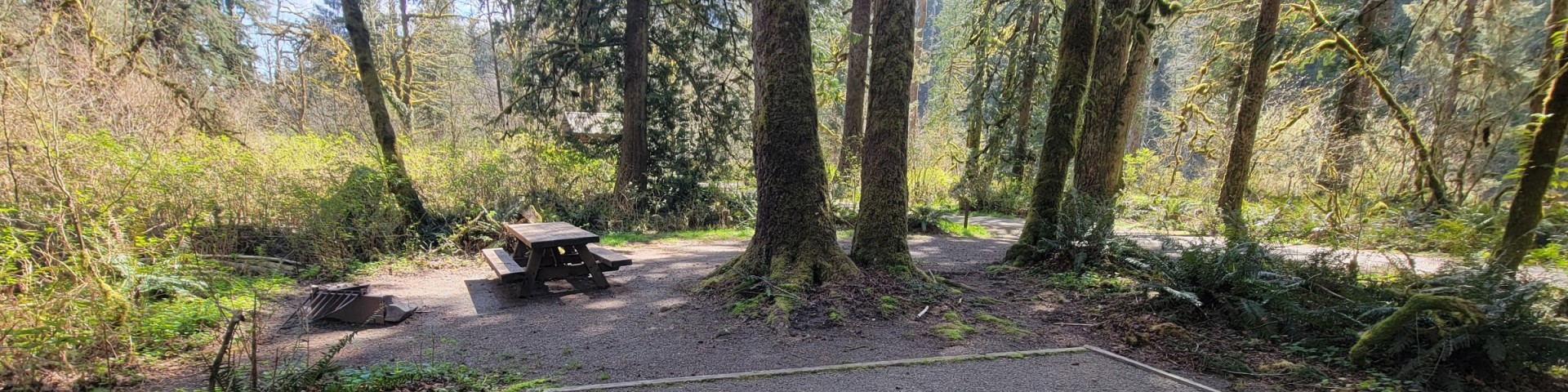 Turlo Campground campground in Granite Falls, WA
