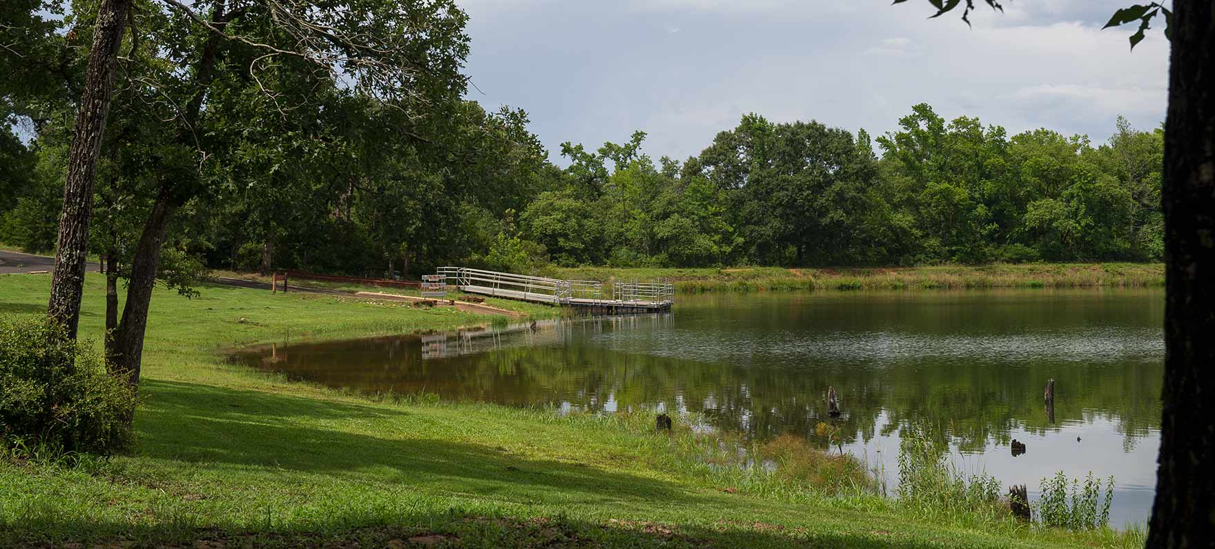 Fort Boggy Lakeside View