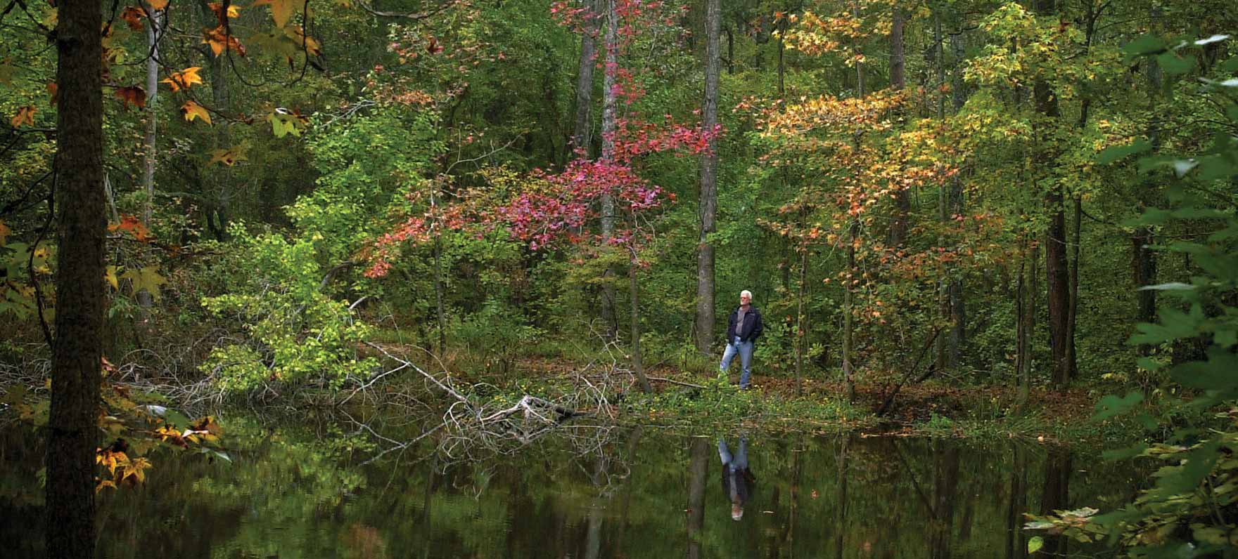 Hiker in the Woods at Lake Bob Sandlin