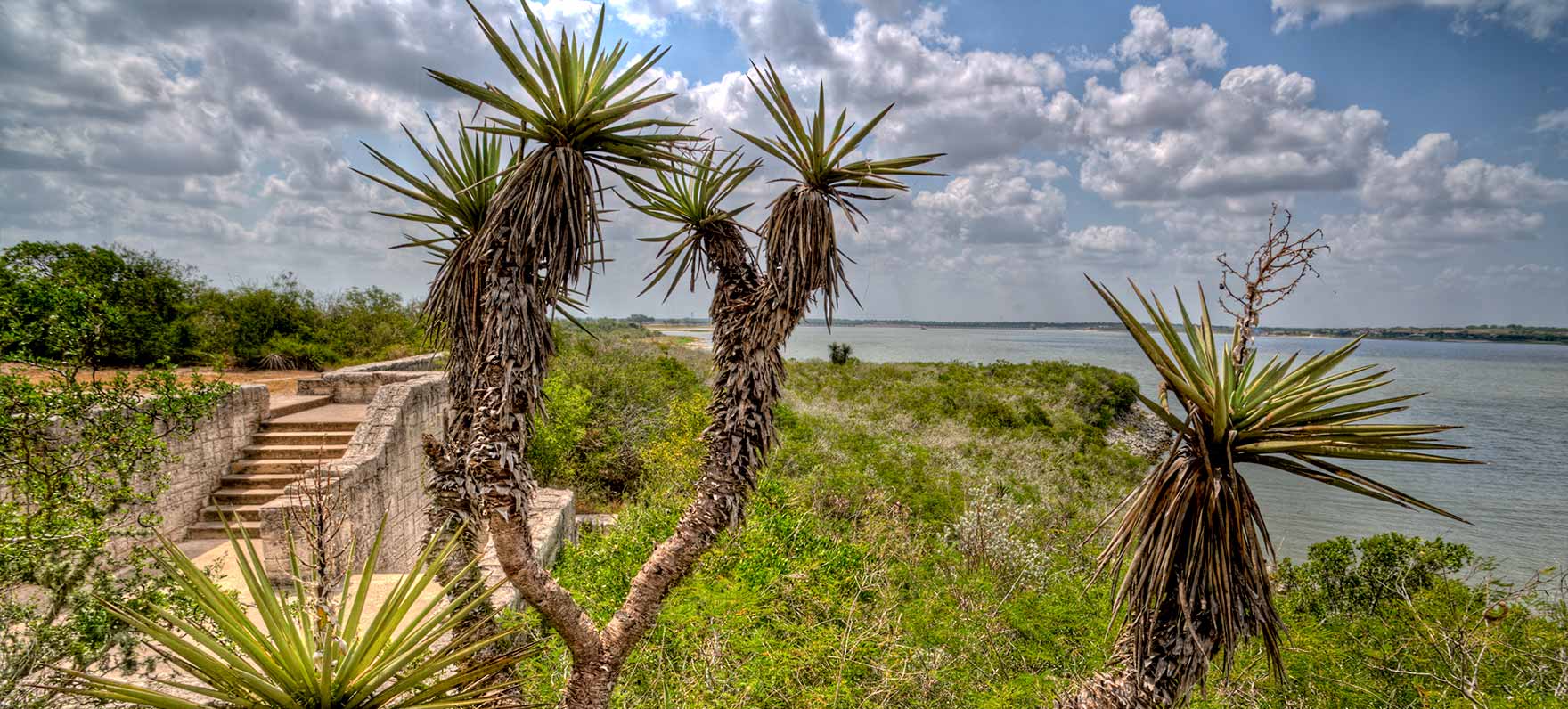 Lake Corpus Christi Vista