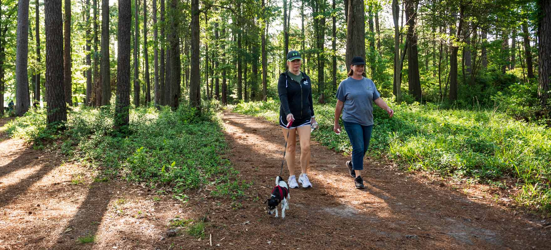 Women hiking in the woods