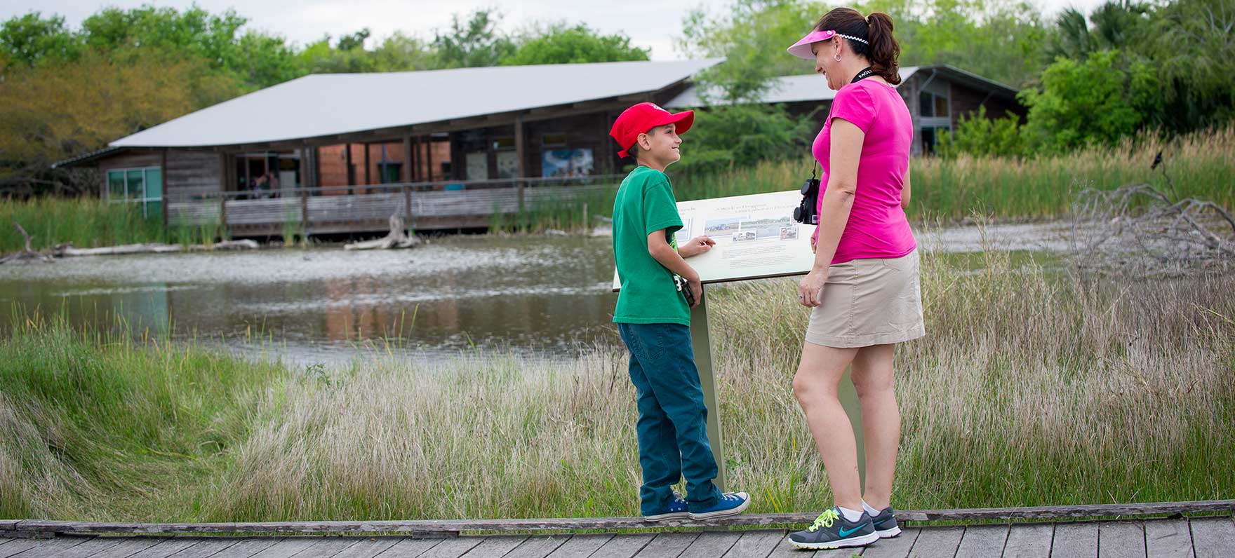 On the Spoonbill Trail boardwalk, looking towards Ibis Pond and the Visitor Center