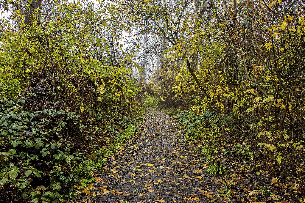 Colusa-Sacramento River SRA Gallery Image