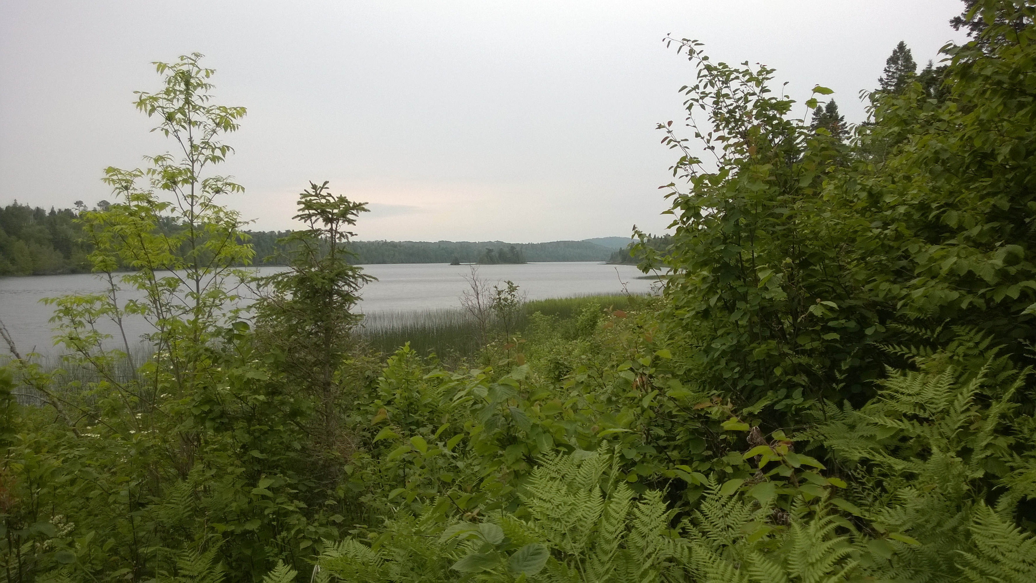 East Chickenbone Campground campground photo