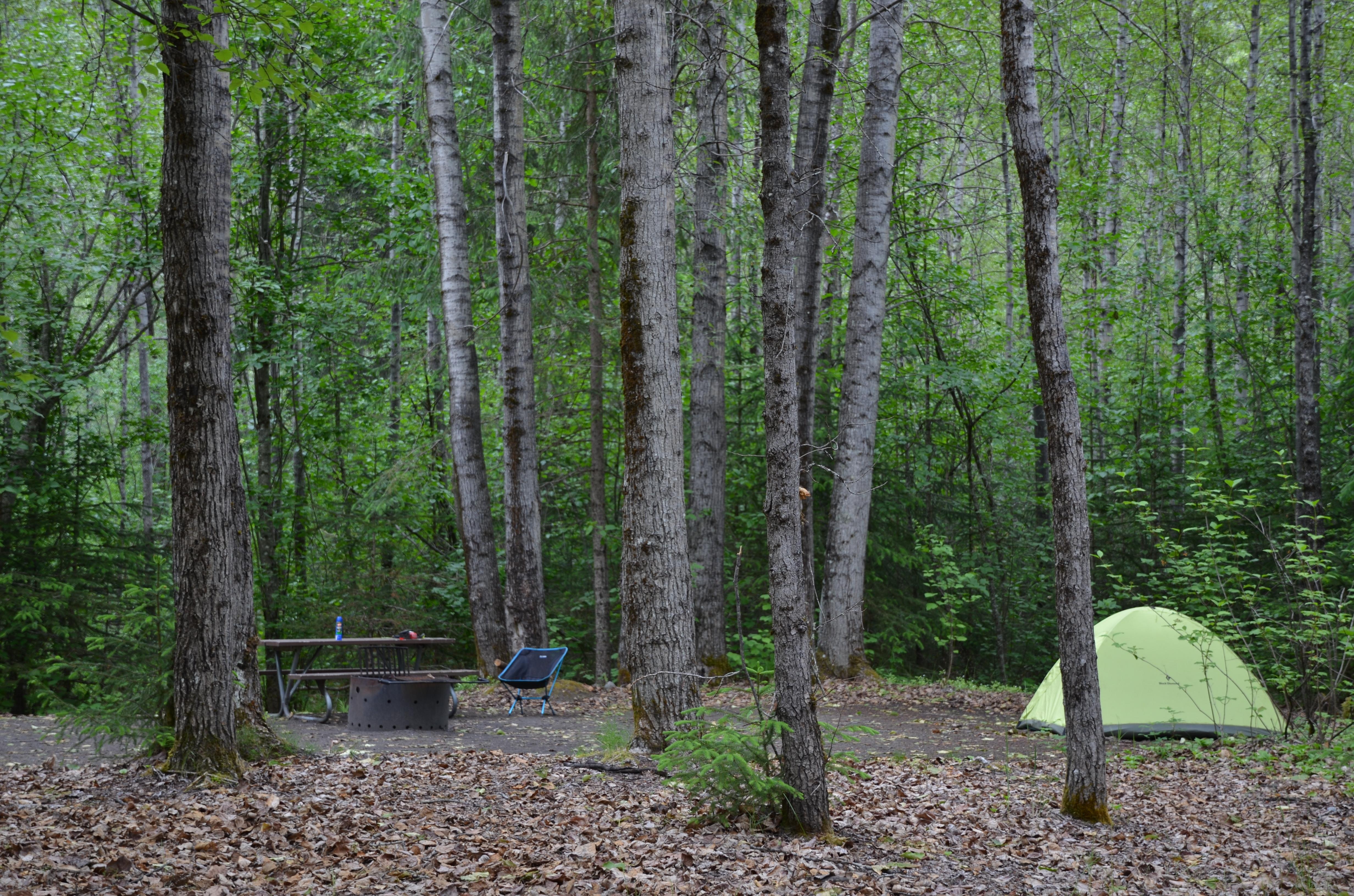 Dyea Campground campground photo