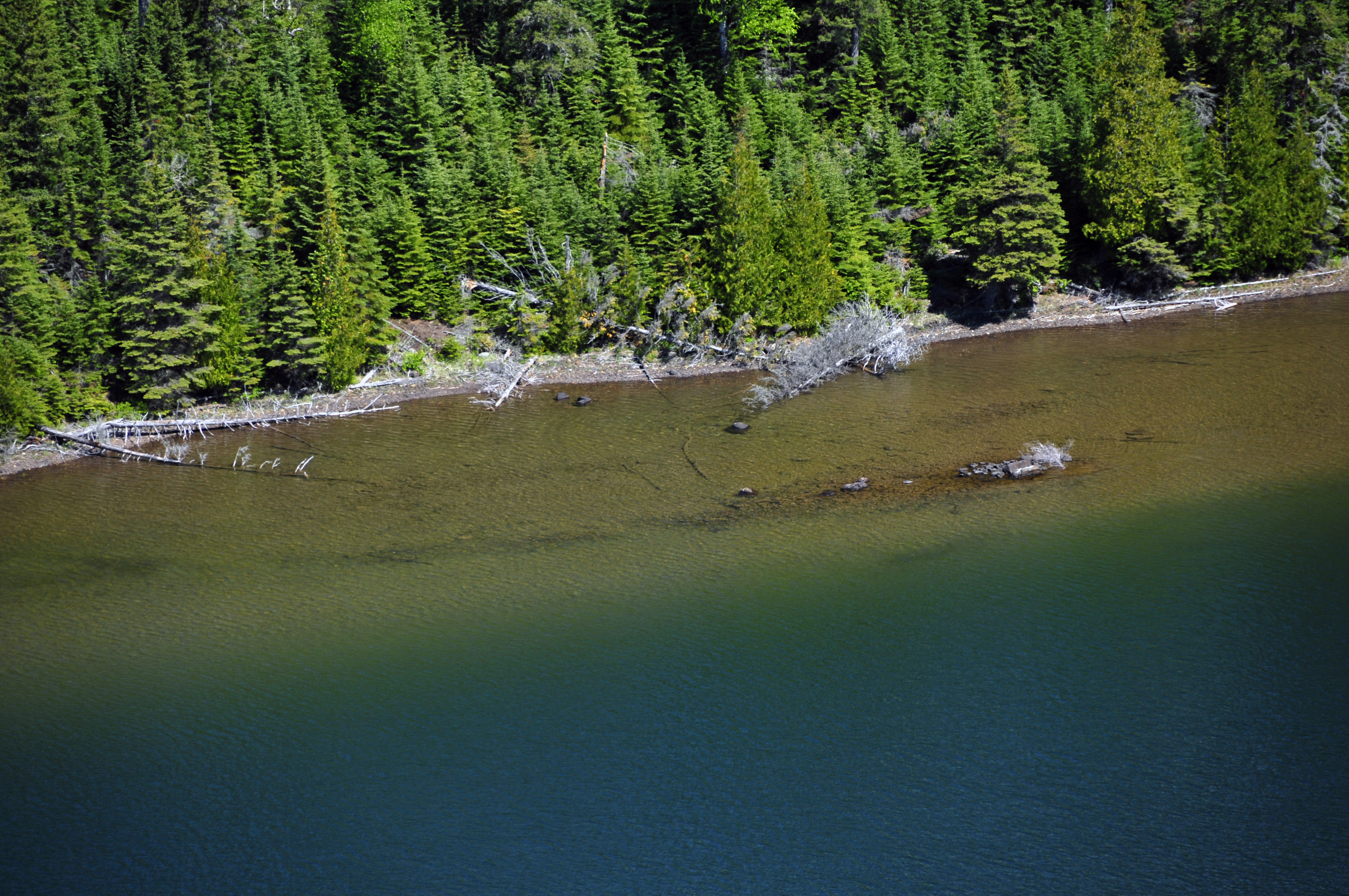 Duncan Bay Campground campground photo